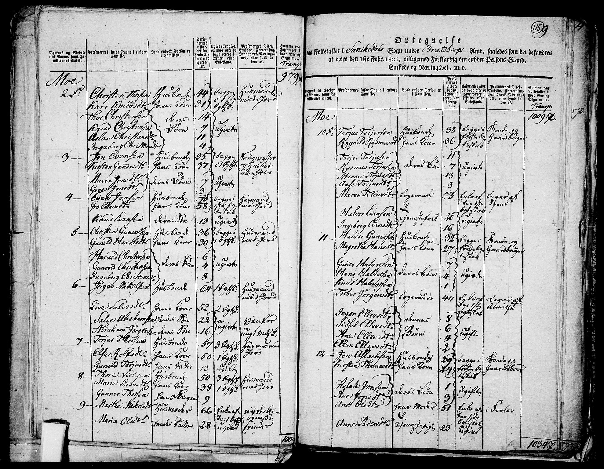 RA, 1801 census for 0801P Kragerø, 1801, p. 114b-115a