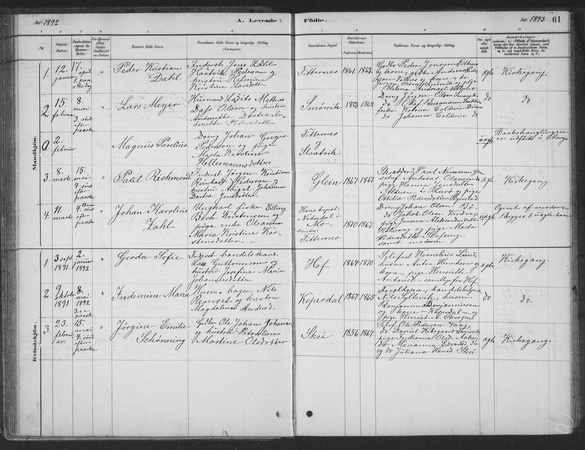 Ministerialprotokoller, klokkerbøker og fødselsregistre - Nordland, AV/SAT-A-1459/835/L0532: Parish register (copy) no. 835C04, 1880-1905, p. 61