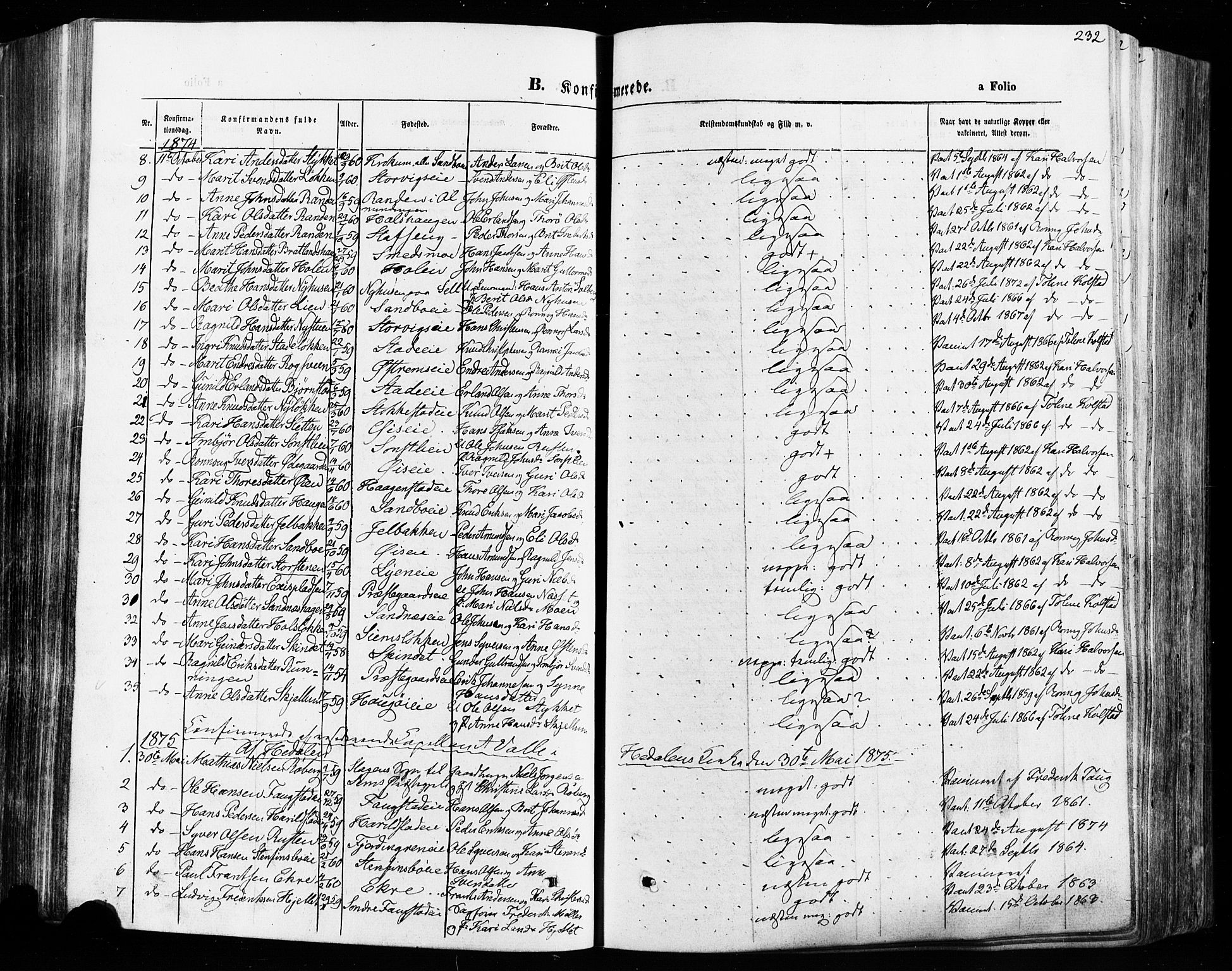 Vågå prestekontor, SAH/PREST-076/H/Ha/Haa/L0007: Parish register (official) no. 7 /1, 1872-1886, p. 232