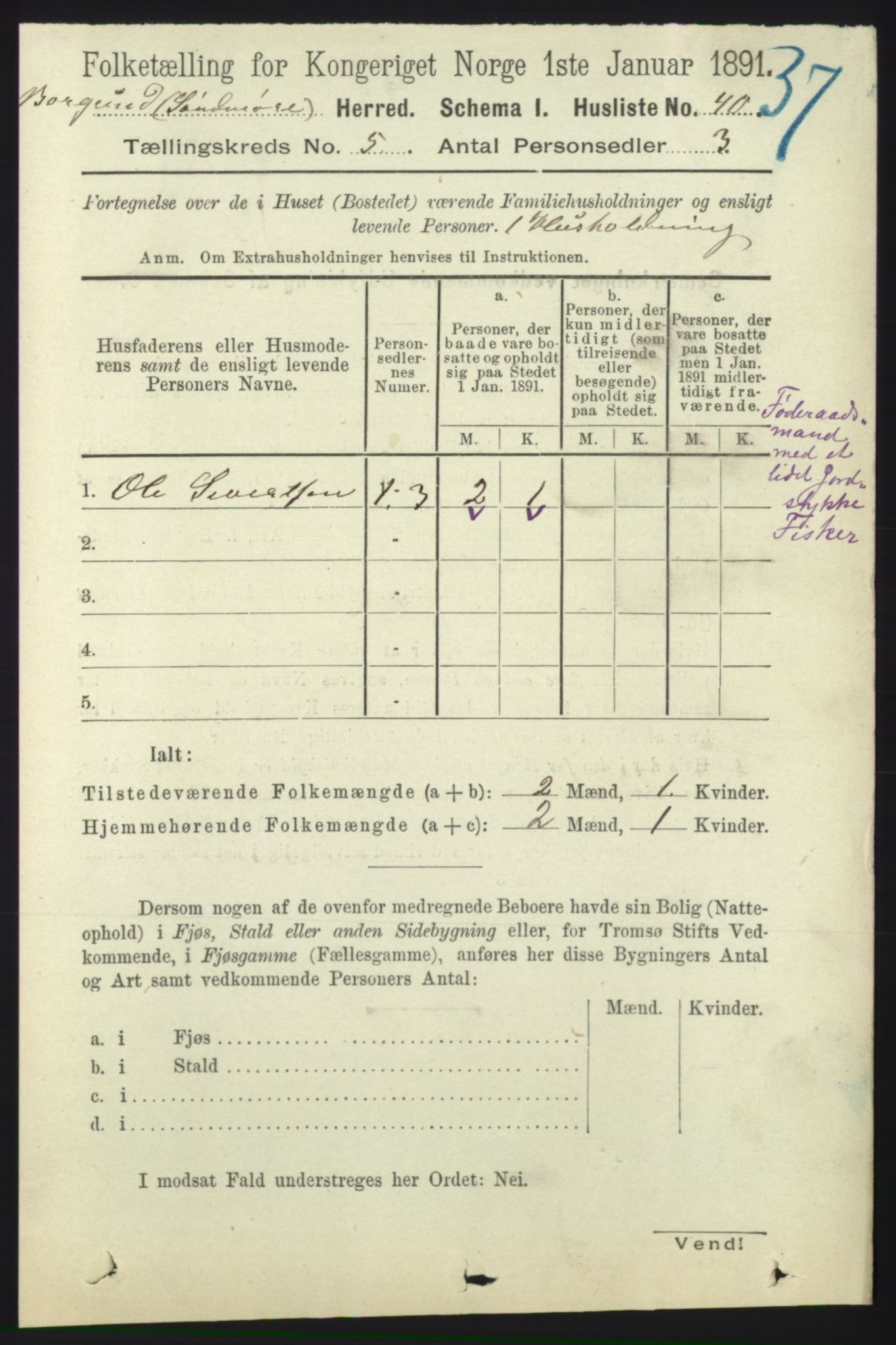 RA, 1891 census for 1531 Borgund, 1891, p. 1260