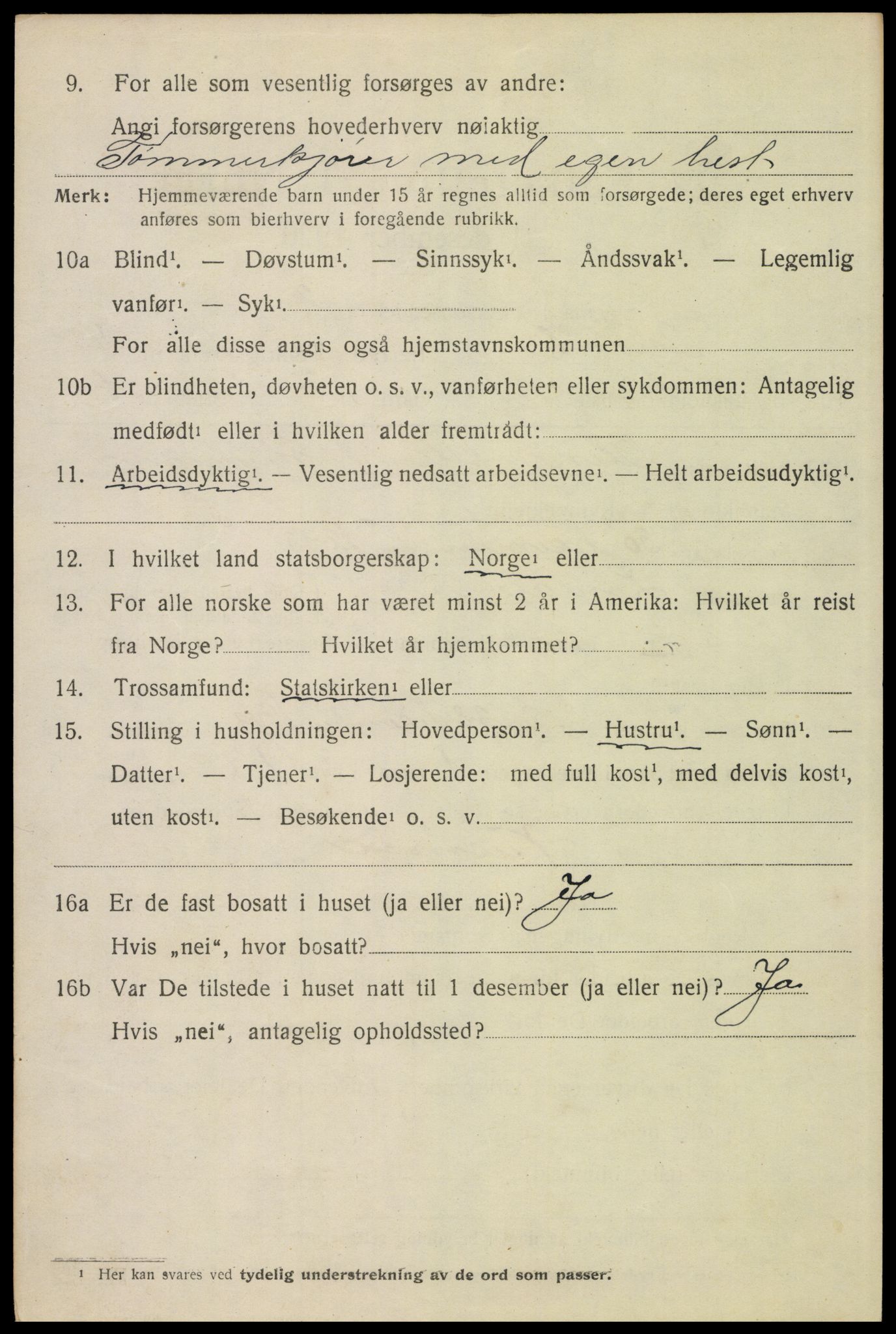 SAH, 1920 census for Trysil, 1920, p. 4084