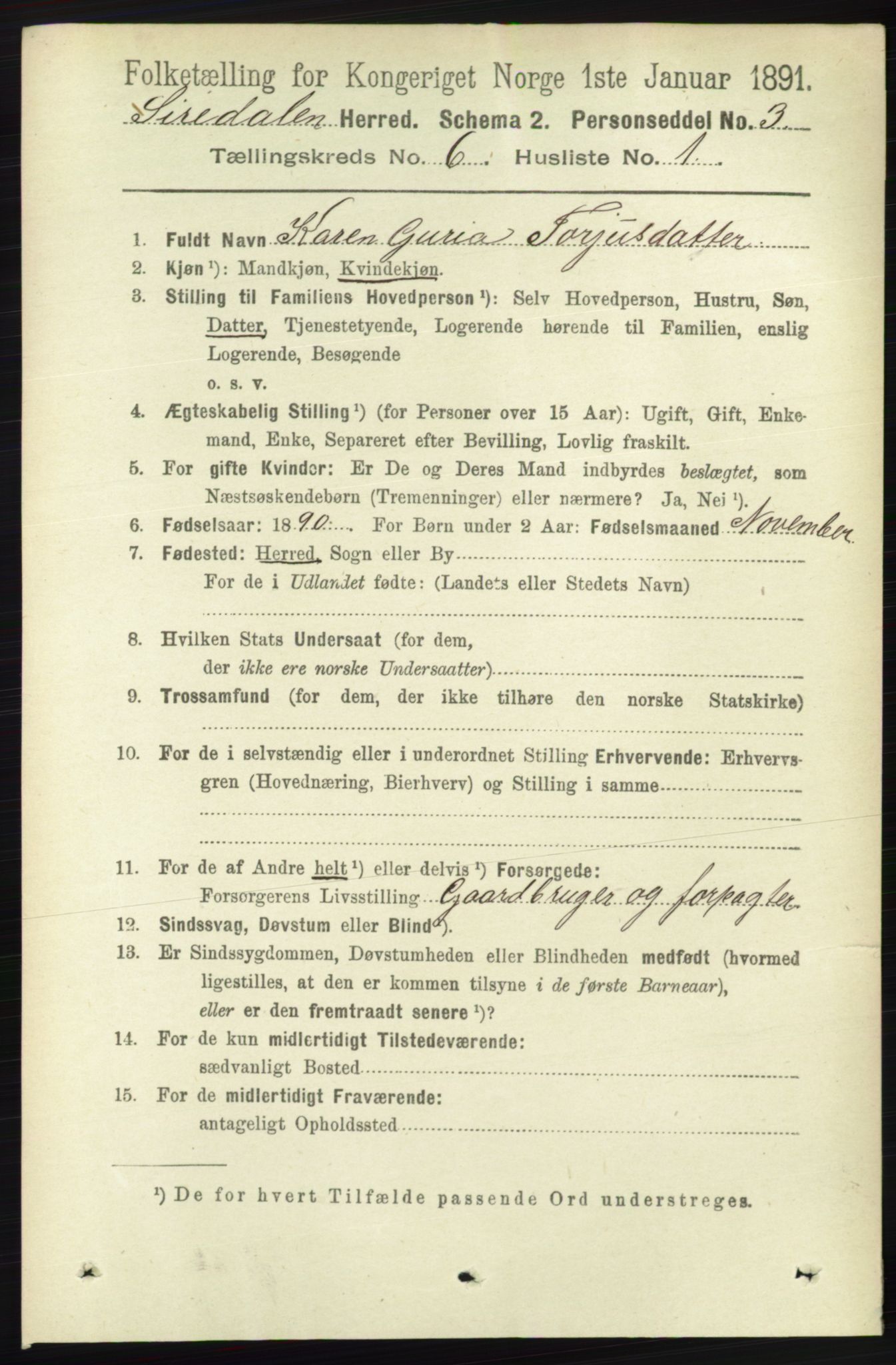 RA, 1891 census for 1046 Sirdal, 1891, p. 1636