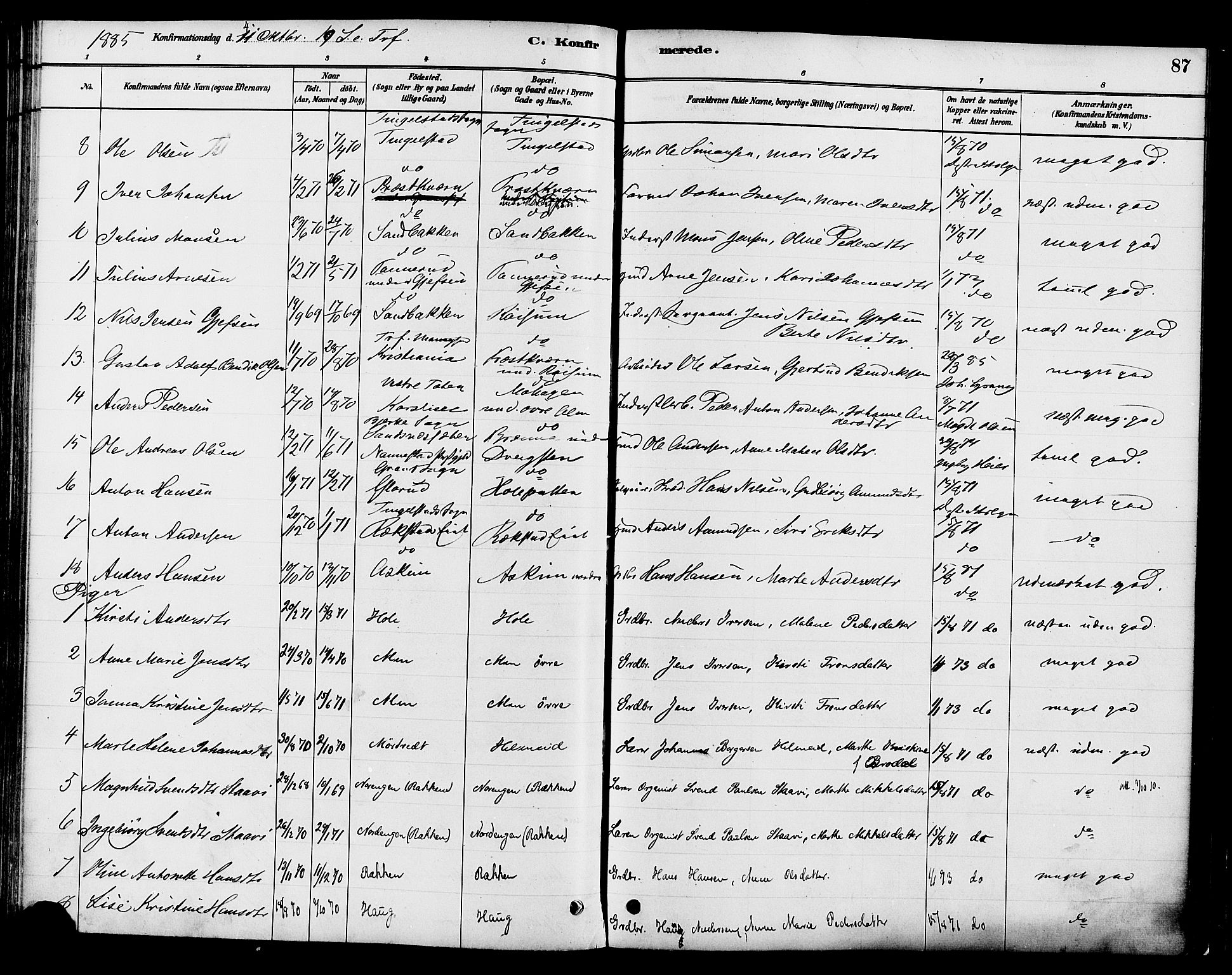 Gran prestekontor, SAH/PREST-112/H/Ha/Haa/L0016: Parish register (official) no. 16, 1880-1888, p. 87