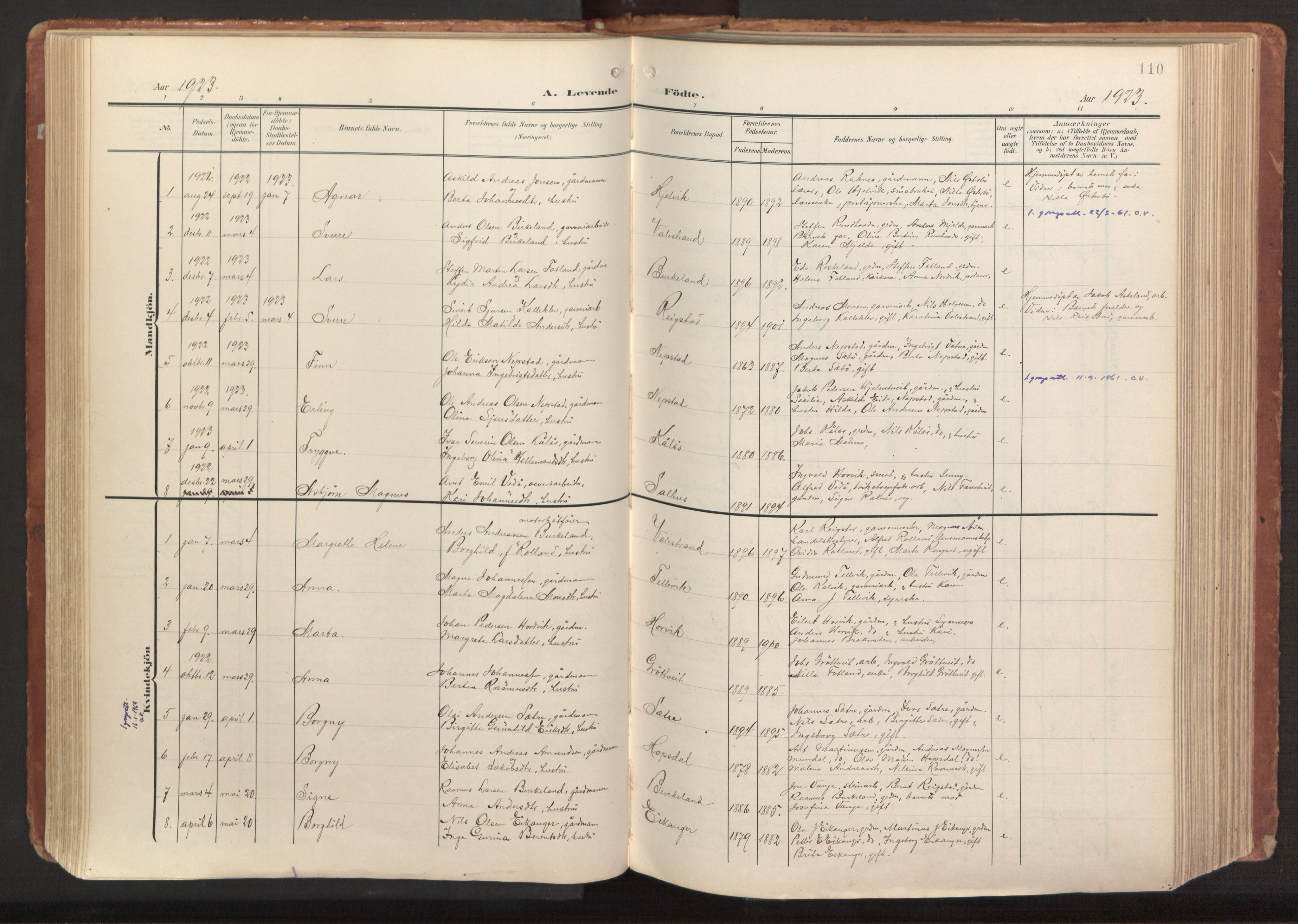 Hamre sokneprestembete, AV/SAB-A-75501/H/Ha/Haa/Haab/L0002: Parish register (official) no. B 2, 1905-1924, p. 110