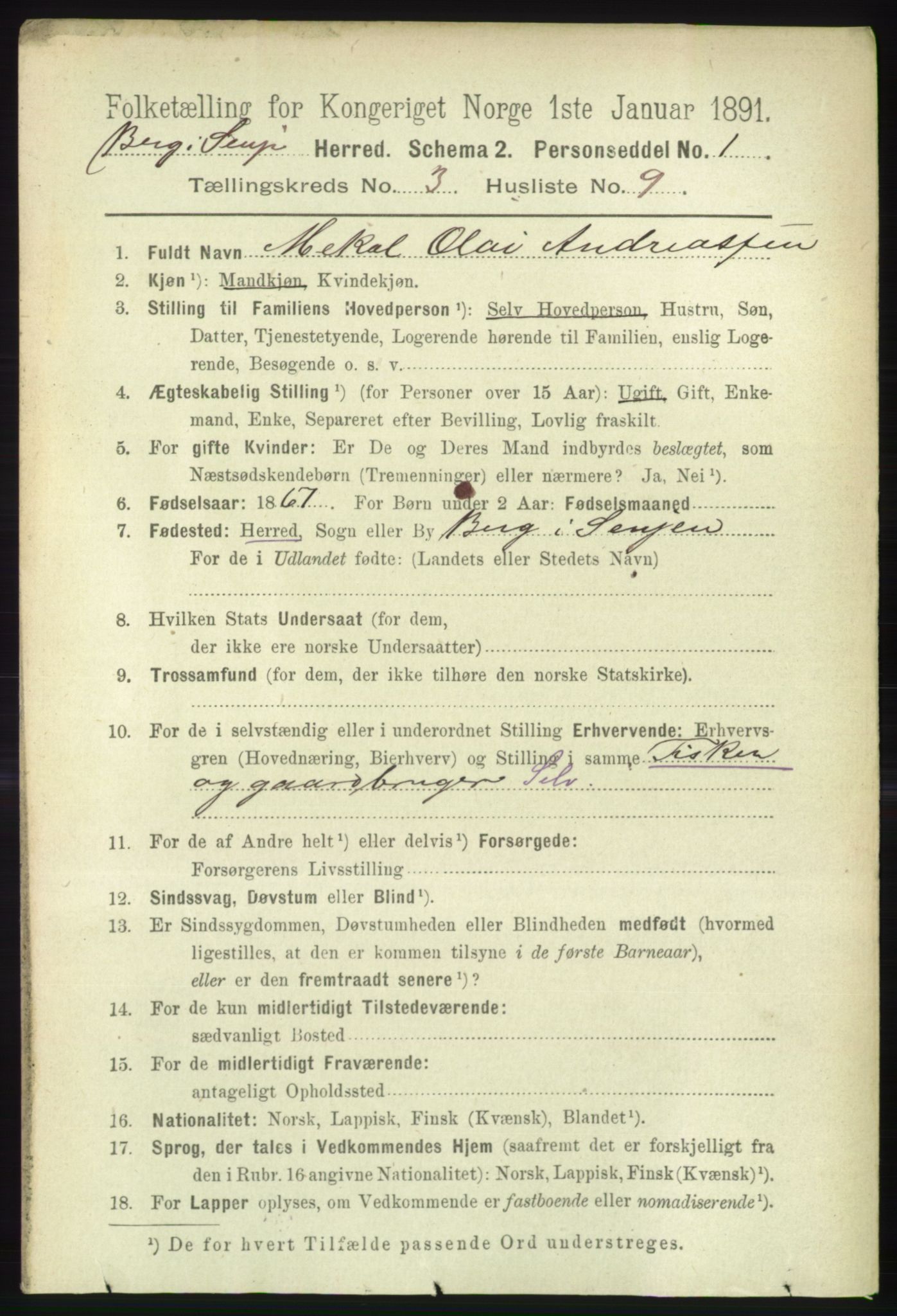 RA, 1891 census for 1929 Berg, 1891, p. 1089