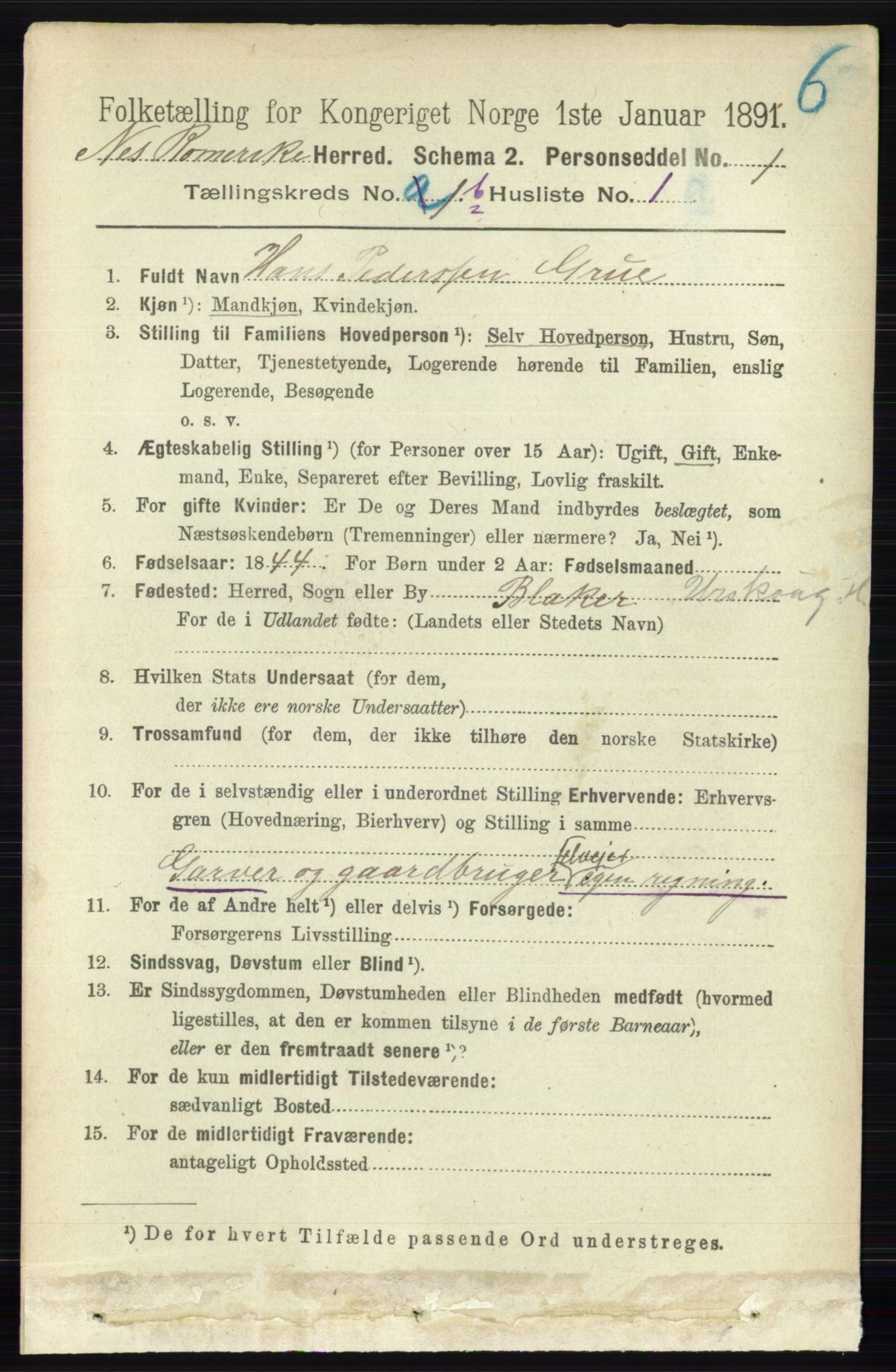 RA, 1891 census for 0236 Nes, 1891, p. 710