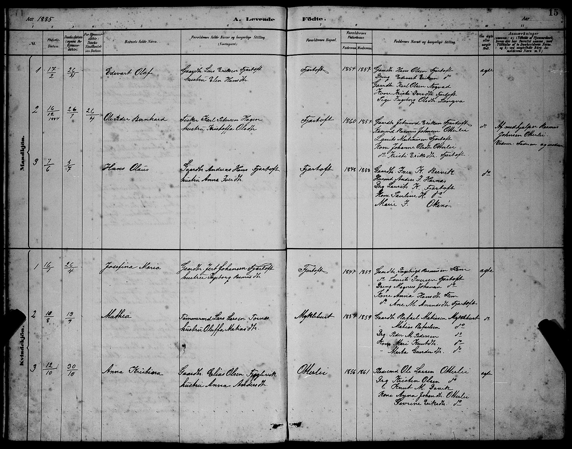 Ministerialprotokoller, klokkerbøker og fødselsregistre - Møre og Romsdal, AV/SAT-A-1454/538/L0523: Parish register (copy) no. 538C01, 1881-1900, p. 15