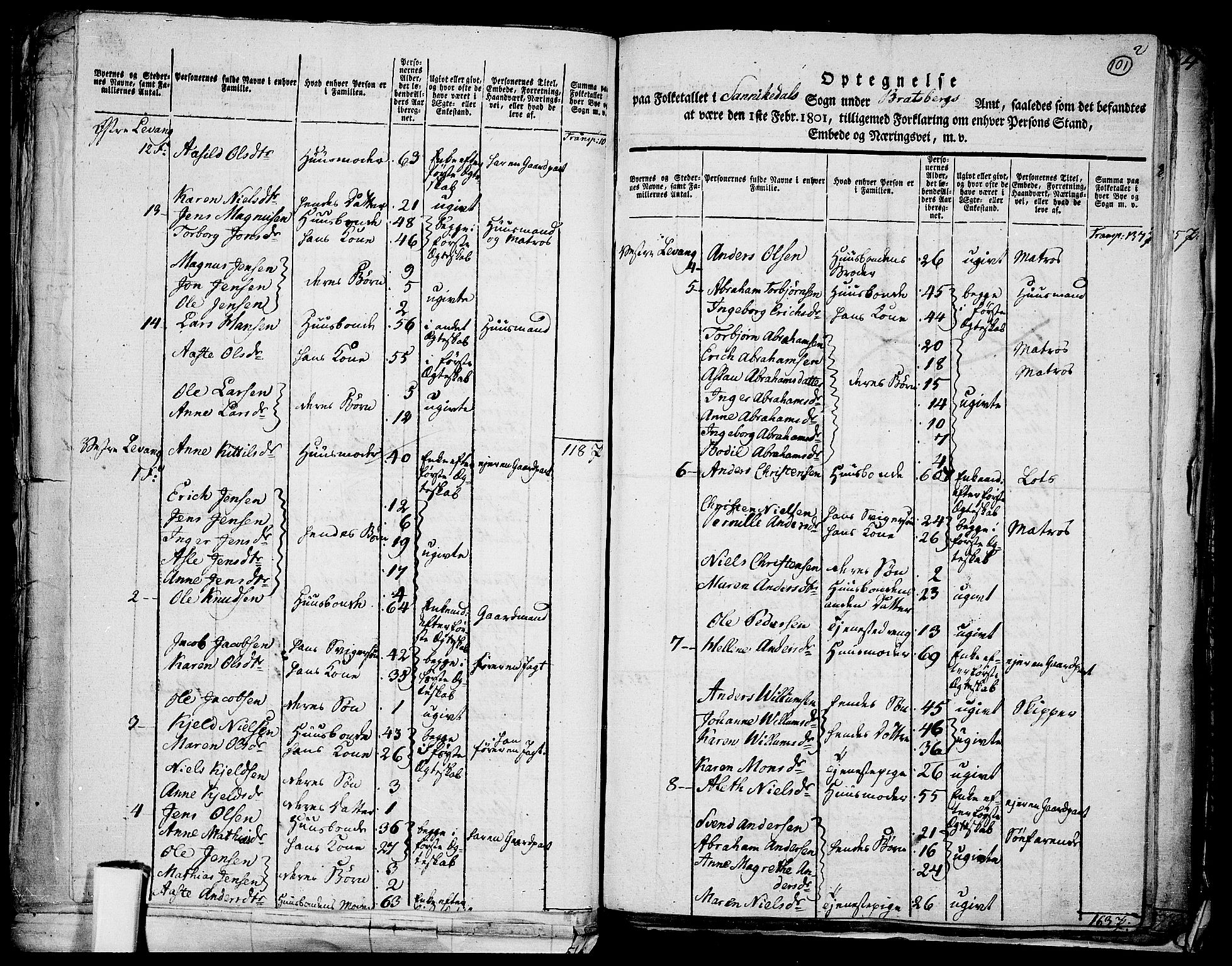 RA, 1801 census for 0801P Kragerø, 1801, p. 100b-101a