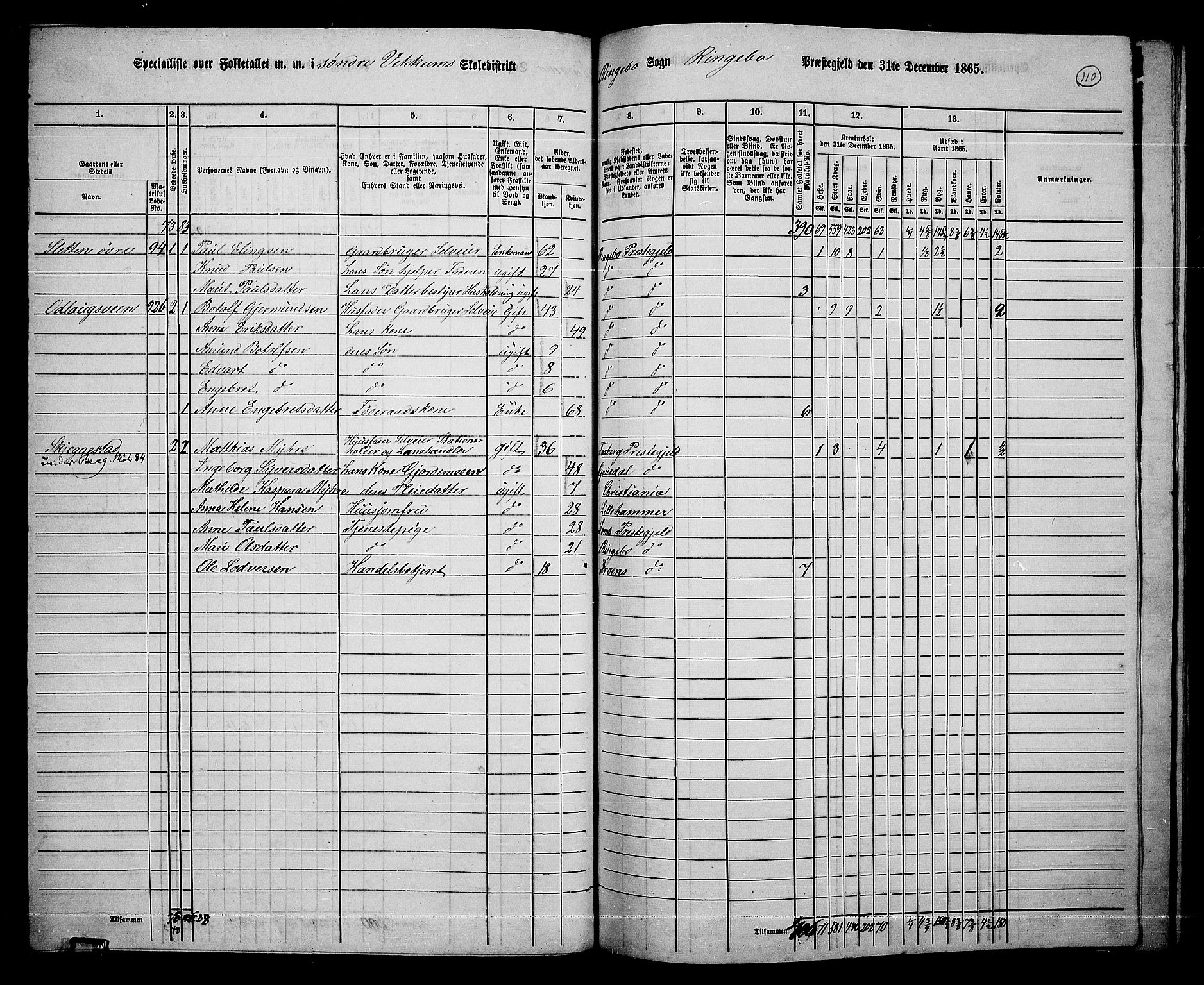 RA, 1865 census for Ringebu, 1865, p. 91