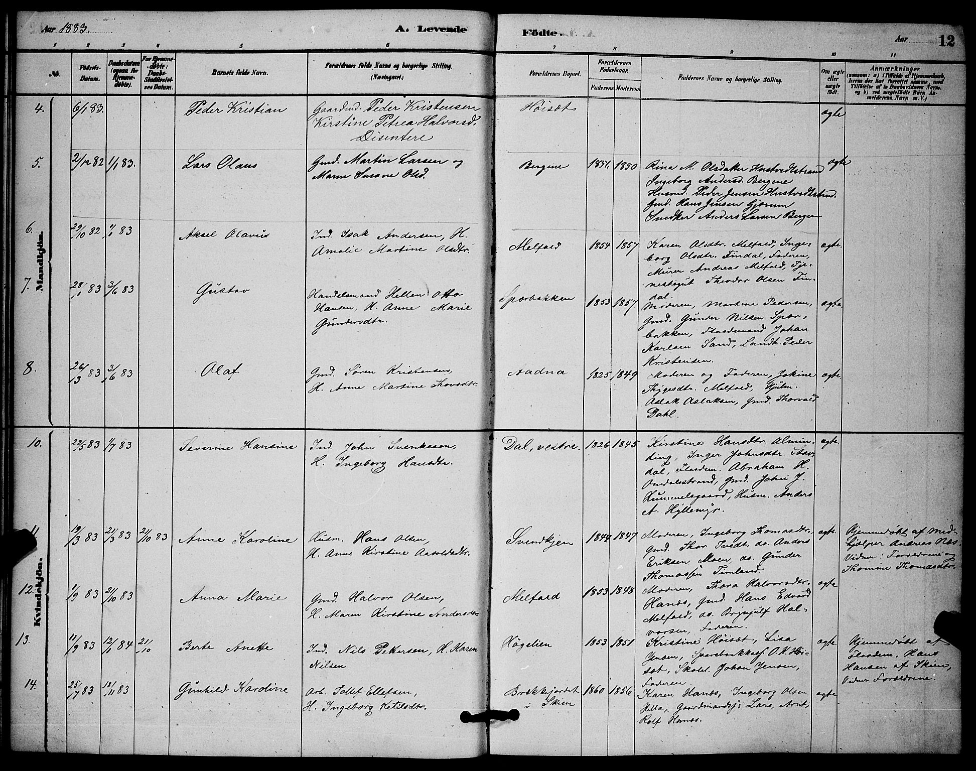 Solum kirkebøker, AV/SAKO-A-306/G/Gb/L0003: Parish register (copy) no. II 3, 1880-1898, p. 12