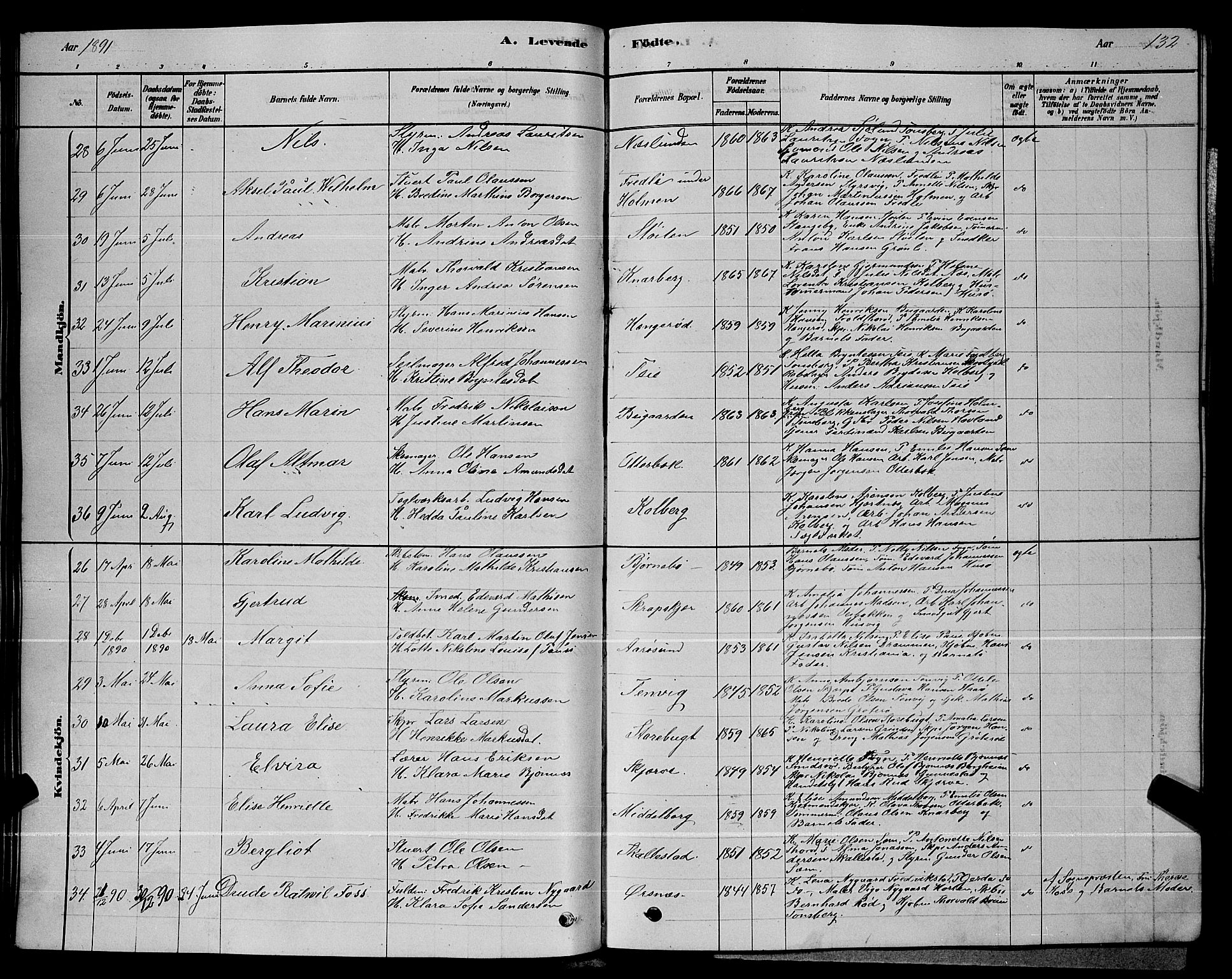 Nøtterøy kirkebøker, AV/SAKO-A-354/G/Ga/L0003: Parish register (copy) no. I 3, 1878-1893, p. 132