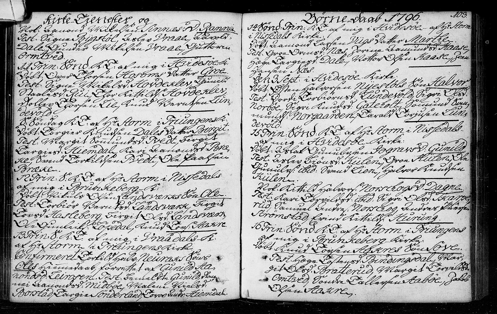 Kviteseid kirkebøker, AV/SAKO-A-276/F/Fa/L0003: Parish register (official) no. I 3, 1787-1799, p. 103