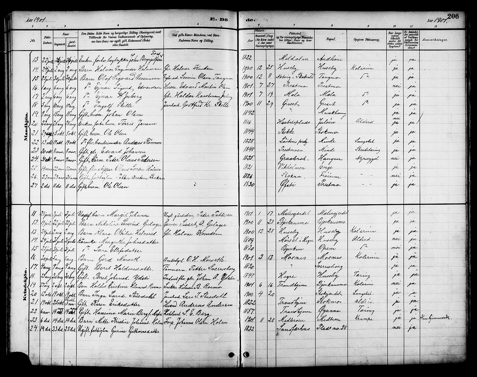 Ministerialprotokoller, klokkerbøker og fødselsregistre - Nord-Trøndelag, SAT/A-1458/709/L0087: Parish register (copy) no. 709C01, 1892-1913, p. 206