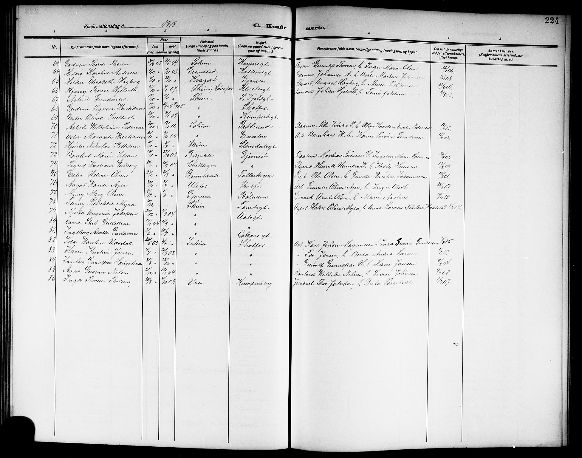Skien kirkebøker, SAKO/A-302/G/Ga/L0009: Parish register (copy) no. 9, 1910-1920, p. 224