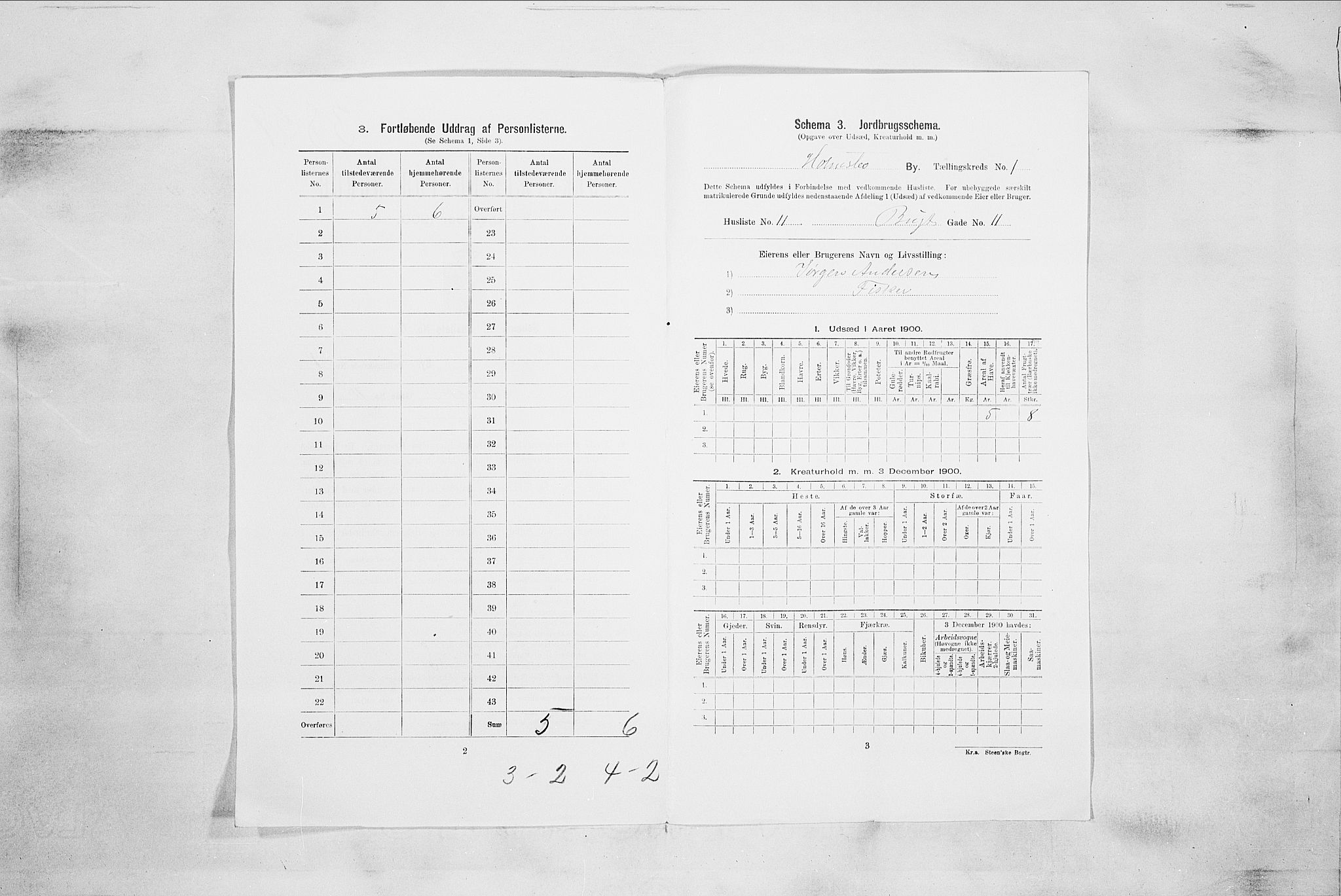 RA, 1900 census for Holmsbu, 1900, p. 13