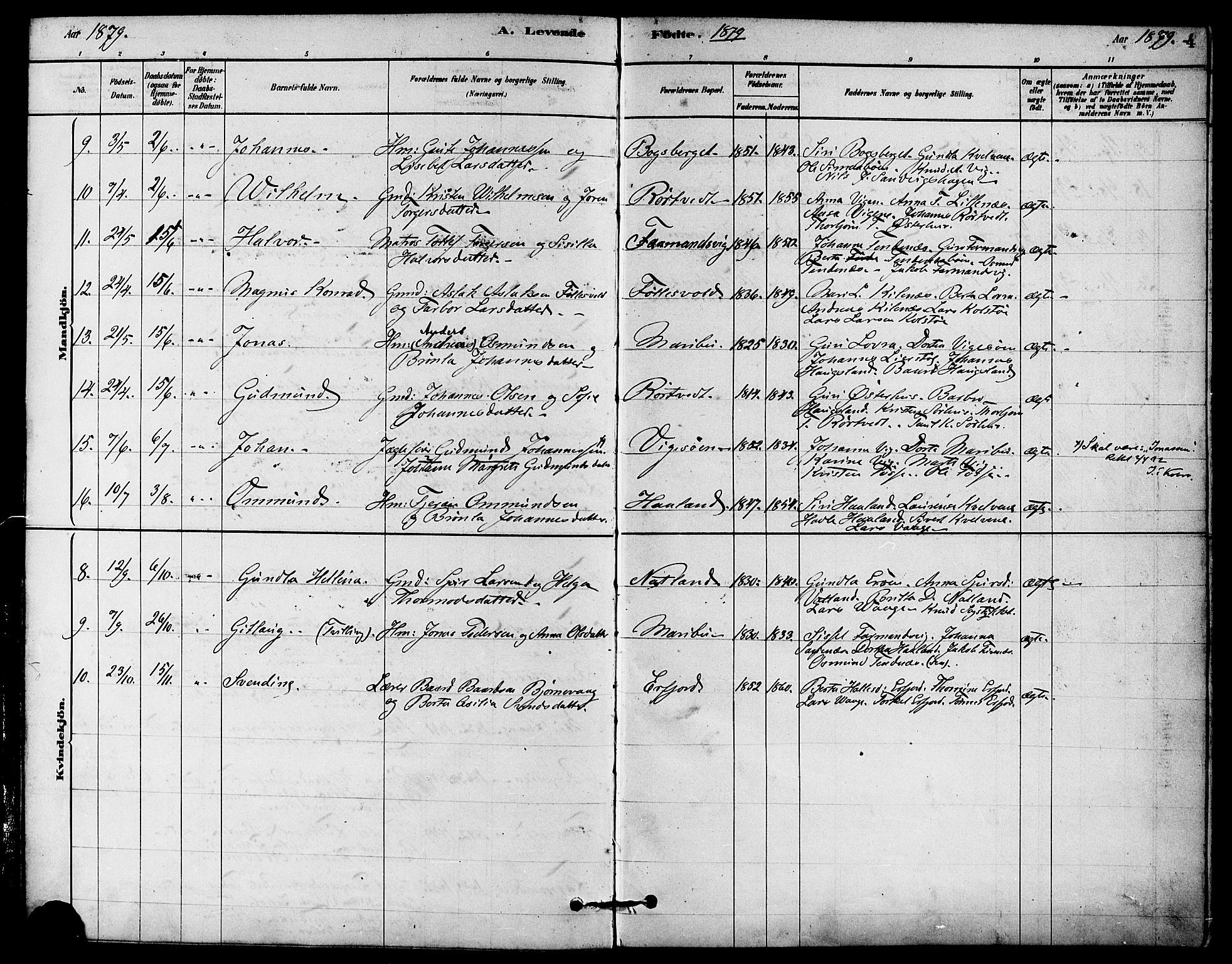 Jelsa sokneprestkontor, AV/SAST-A-101842/01/IV: Parish register (official) no. A 9, 1878-1898, p. 4