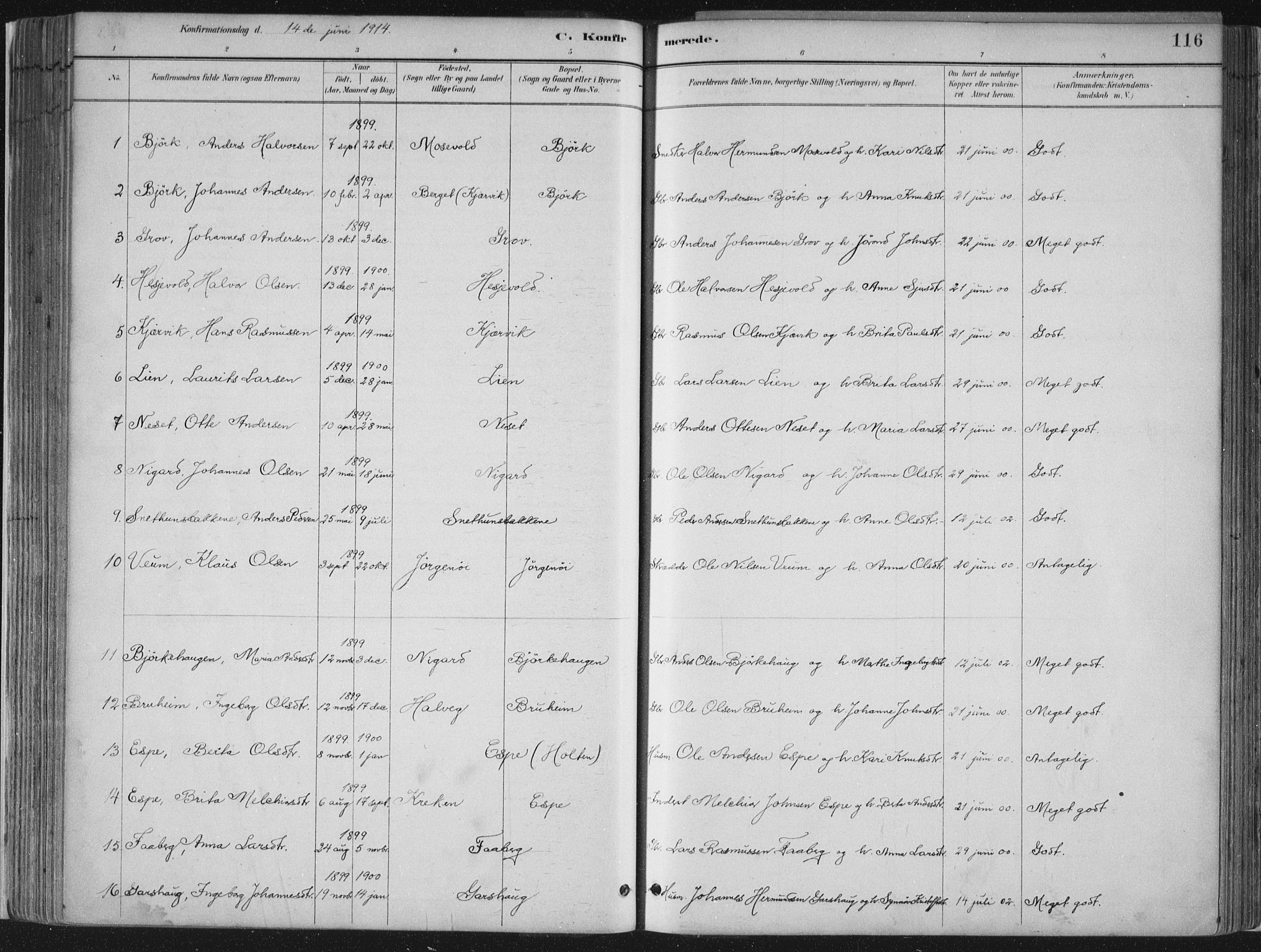 Jostedal sokneprestembete, SAB/A-80601/H/Haa/Haab/L0001: Parish register (official) no. B 1, 1887-1914, p. 116