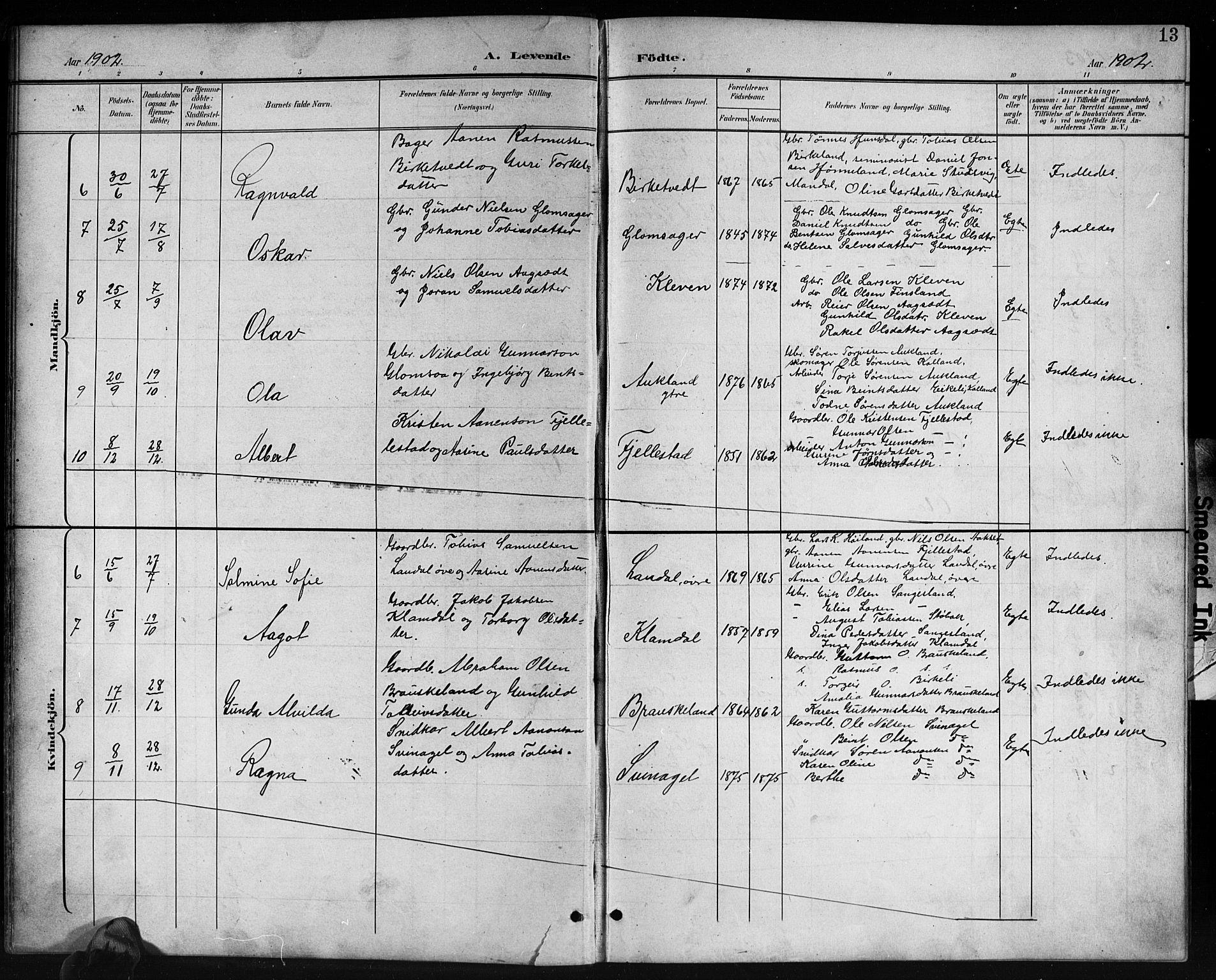 Holum sokneprestkontor, SAK/1111-0022/F/Fb/Fbb/L0004: Parish register (copy) no. B 4, 1899-1920, p. 13