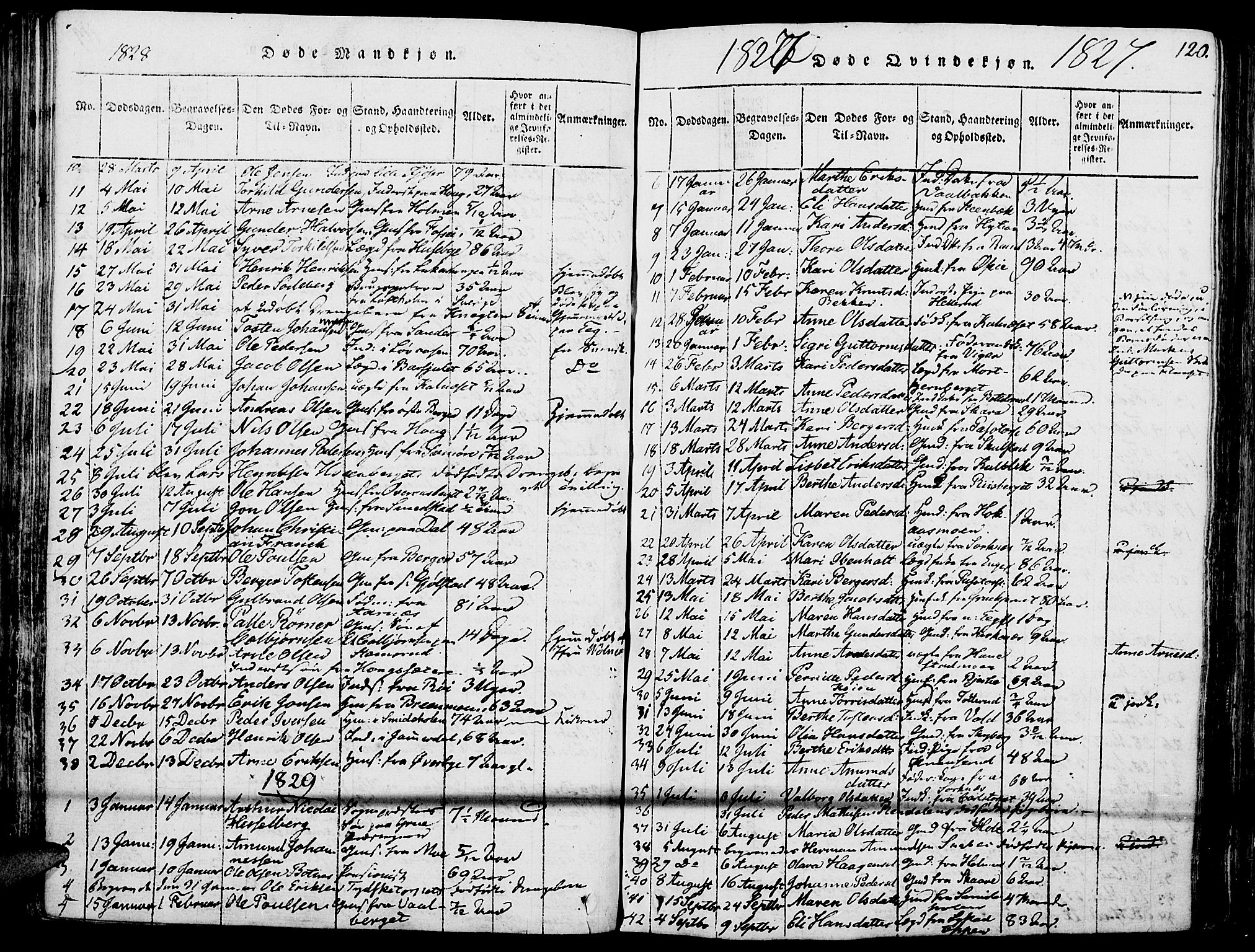 Grue prestekontor, SAH/PREST-036/H/Ha/Haa/L0006: Parish register (official) no. 6, 1814-1830, p. 120