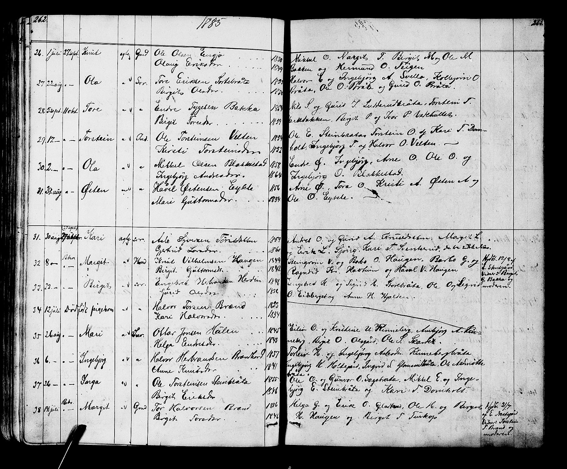 Gol kirkebøker, AV/SAKO-A-226/G/Ga/L0002: Parish register (copy) no. I 2, 1860-1887, p. 262-263