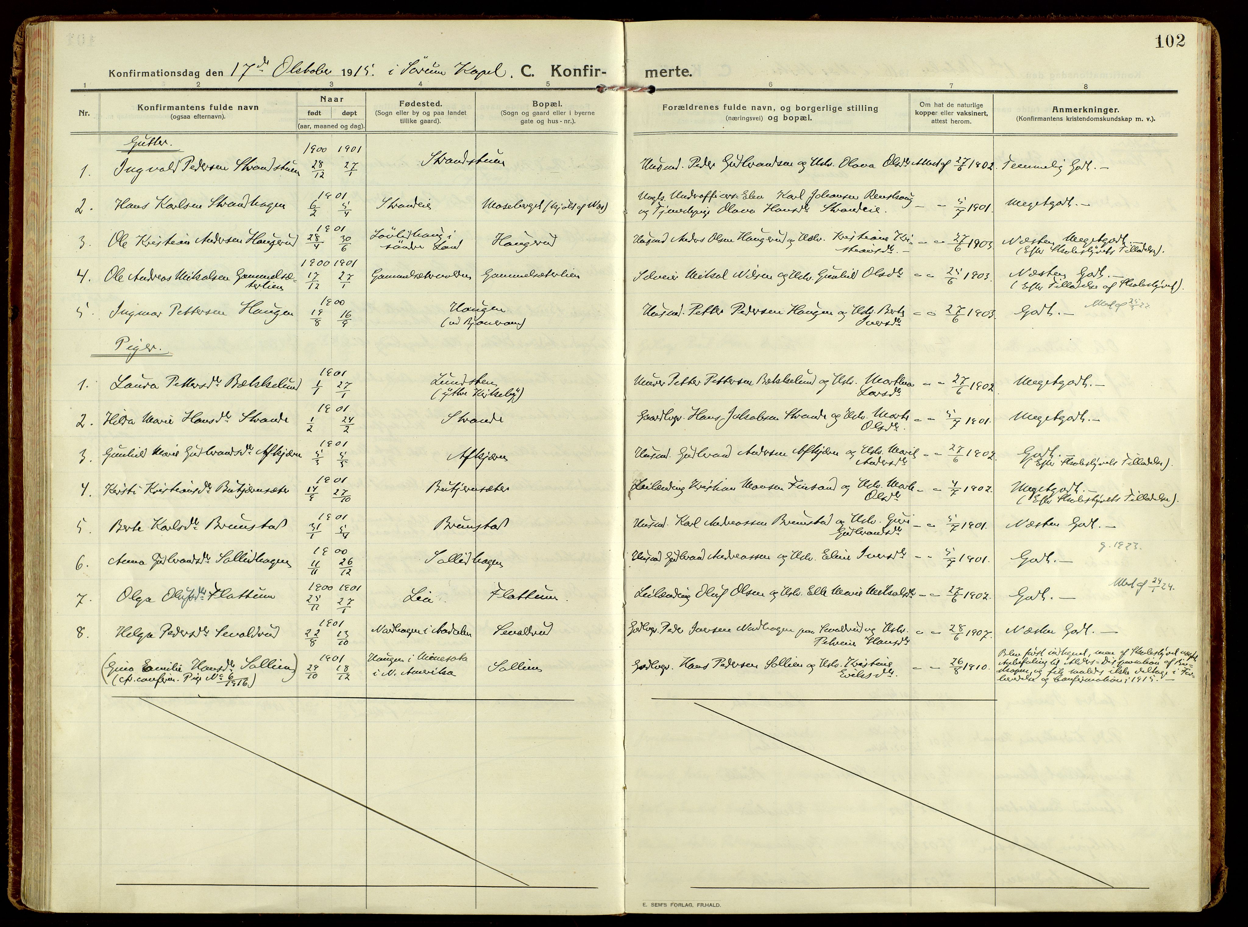 Brandbu prestekontor, SAH/PREST-114/H/Ha/Haa/L0004: Parish register (official) no. 4, 1913-1923, p. 102