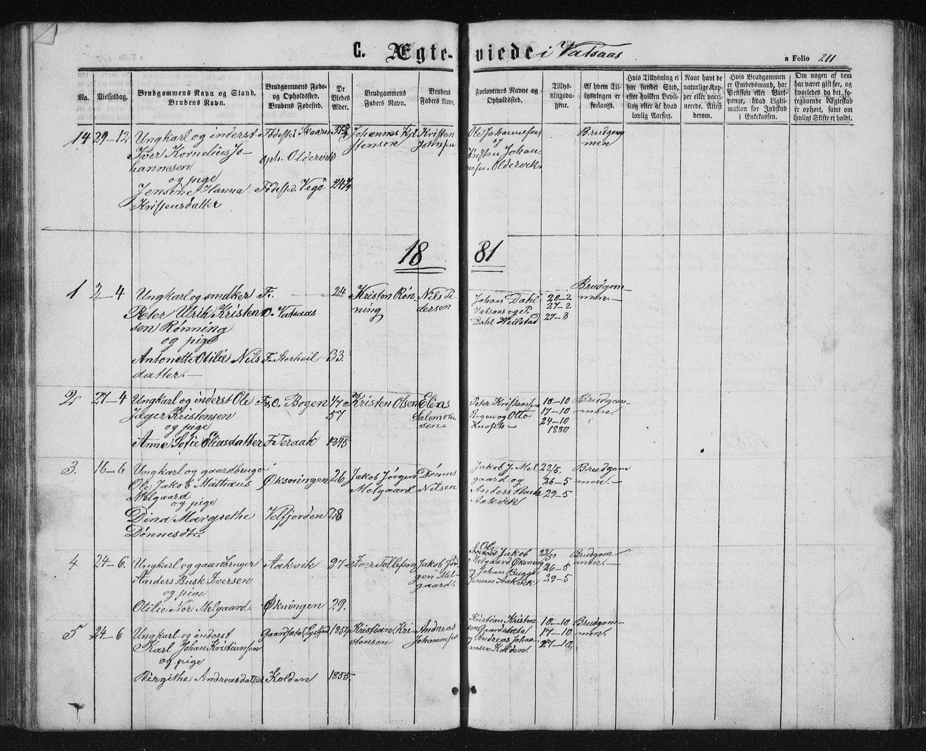 Ministerialprotokoller, klokkerbøker og fødselsregistre - Nordland, AV/SAT-A-1459/810/L0158: Parish register (copy) no. 810C02 /1, 1863-1883, p. 211