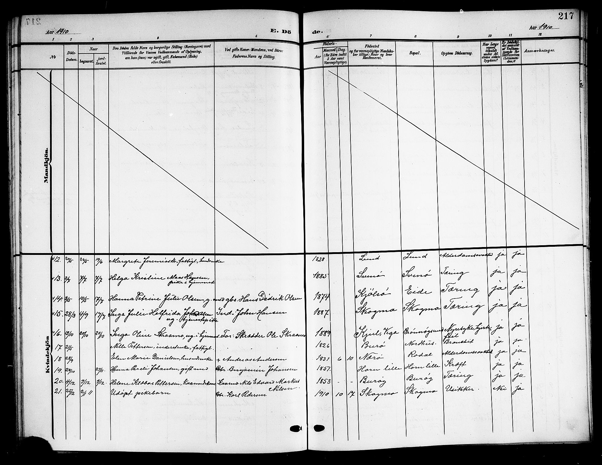 Ministerialprotokoller, klokkerbøker og fødselsregistre - Nordland, SAT/A-1459/813/L0214: Parish register (copy) no. 813C06, 1904-1917, p. 217