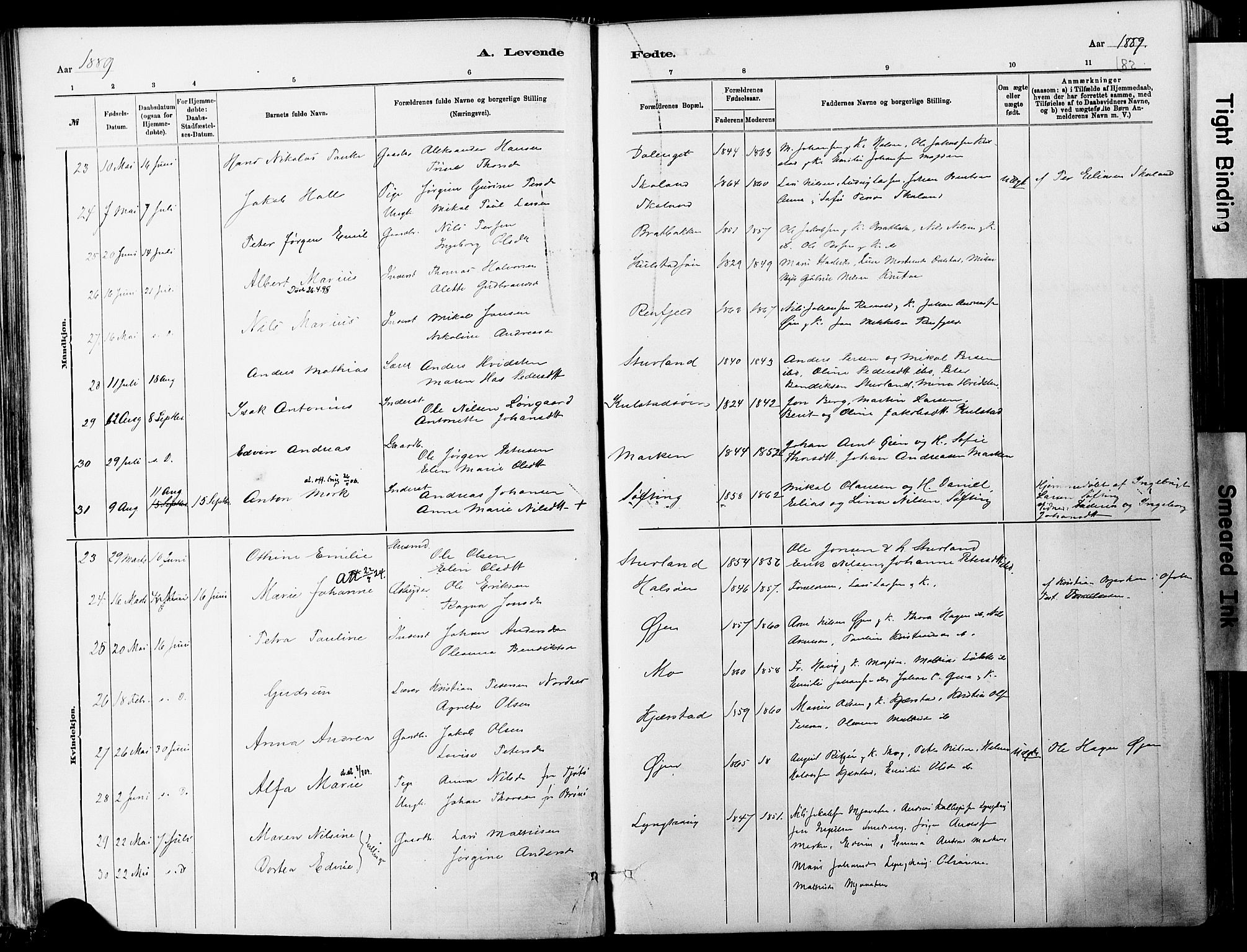 Ministerialprotokoller, klokkerbøker og fødselsregistre - Nordland, AV/SAT-A-1459/820/L0295: Parish register (official) no. 820A16, 1880-1896, p. 82