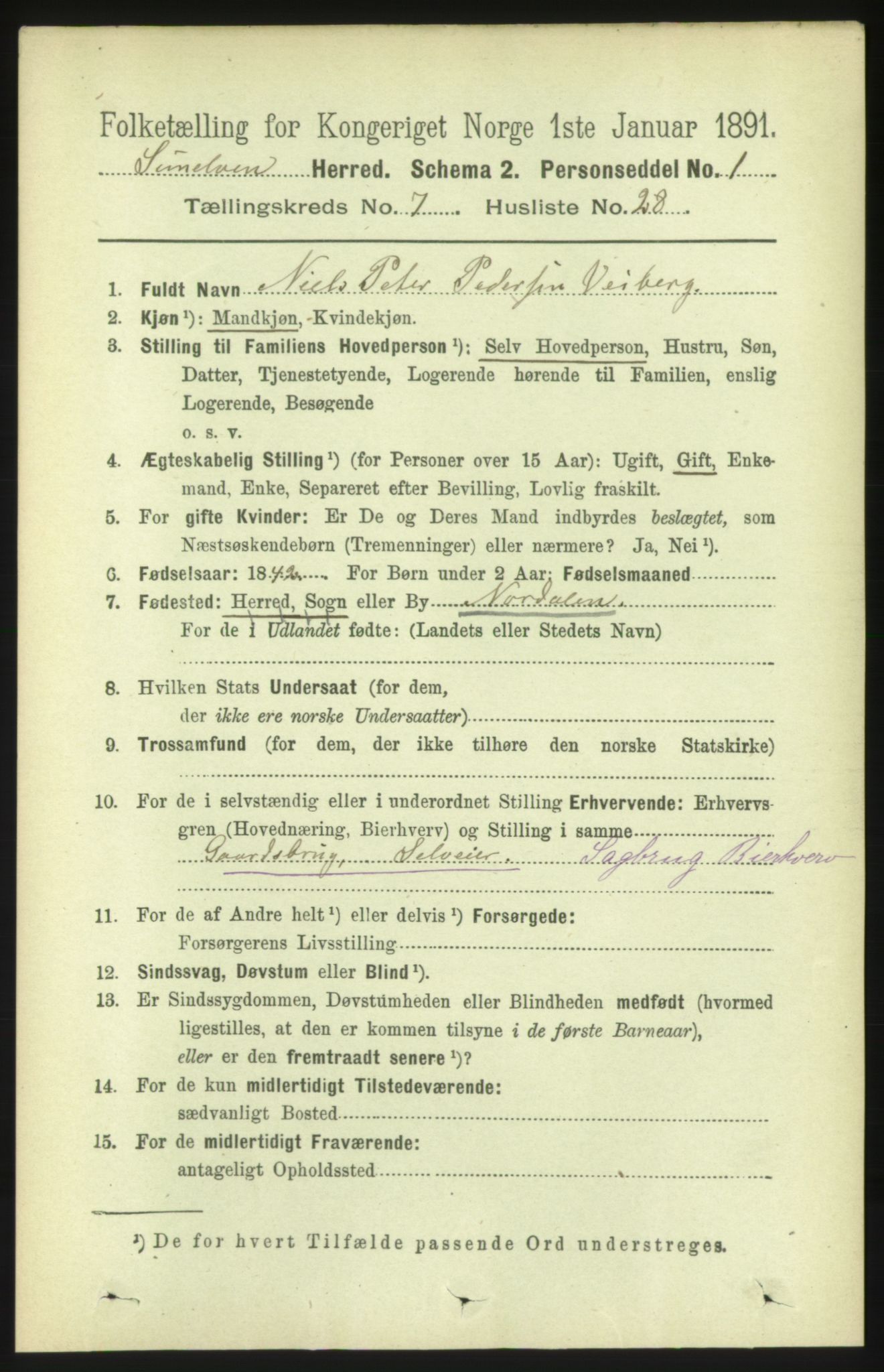 RA, 1891 census for 1523 Sunnylven, 1891, p. 1989