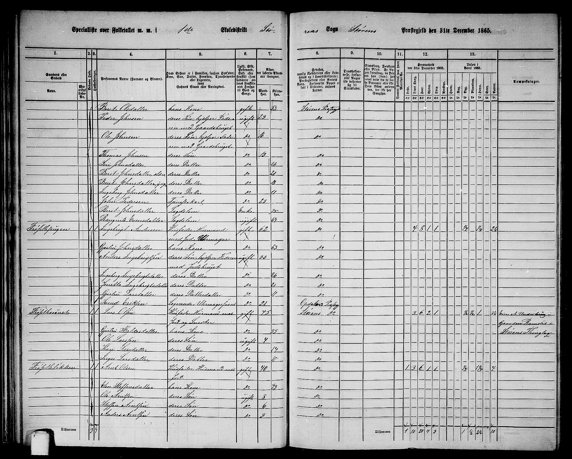 RA, 1865 census for Støren, 1865, p. 30