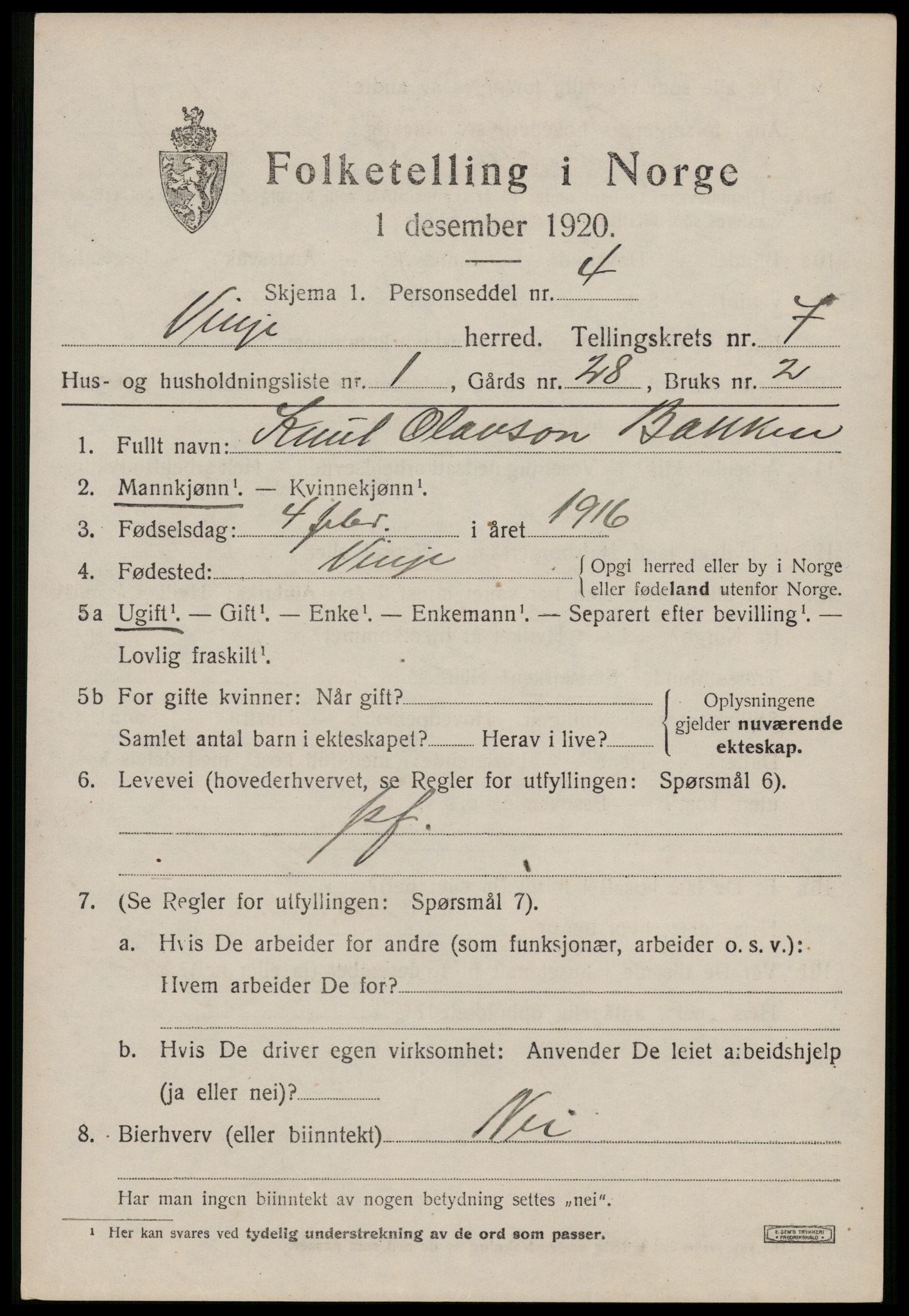 SAKO, 1920 census for Vinje, 1920, p. 1981