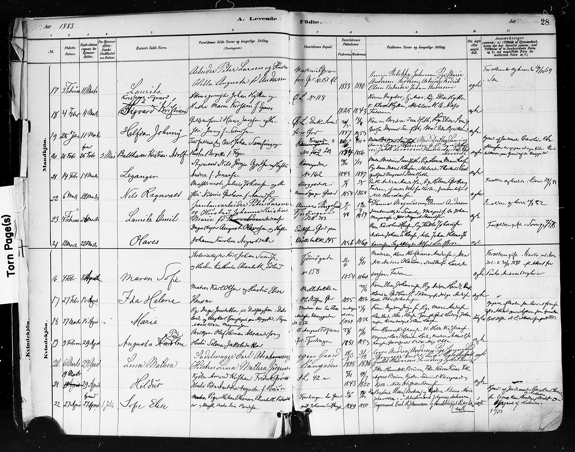 Tønsberg kirkebøker, AV/SAKO-A-330/F/Fa/L0011: Parish register (official) no. I 11, 1881-1890, p. 28