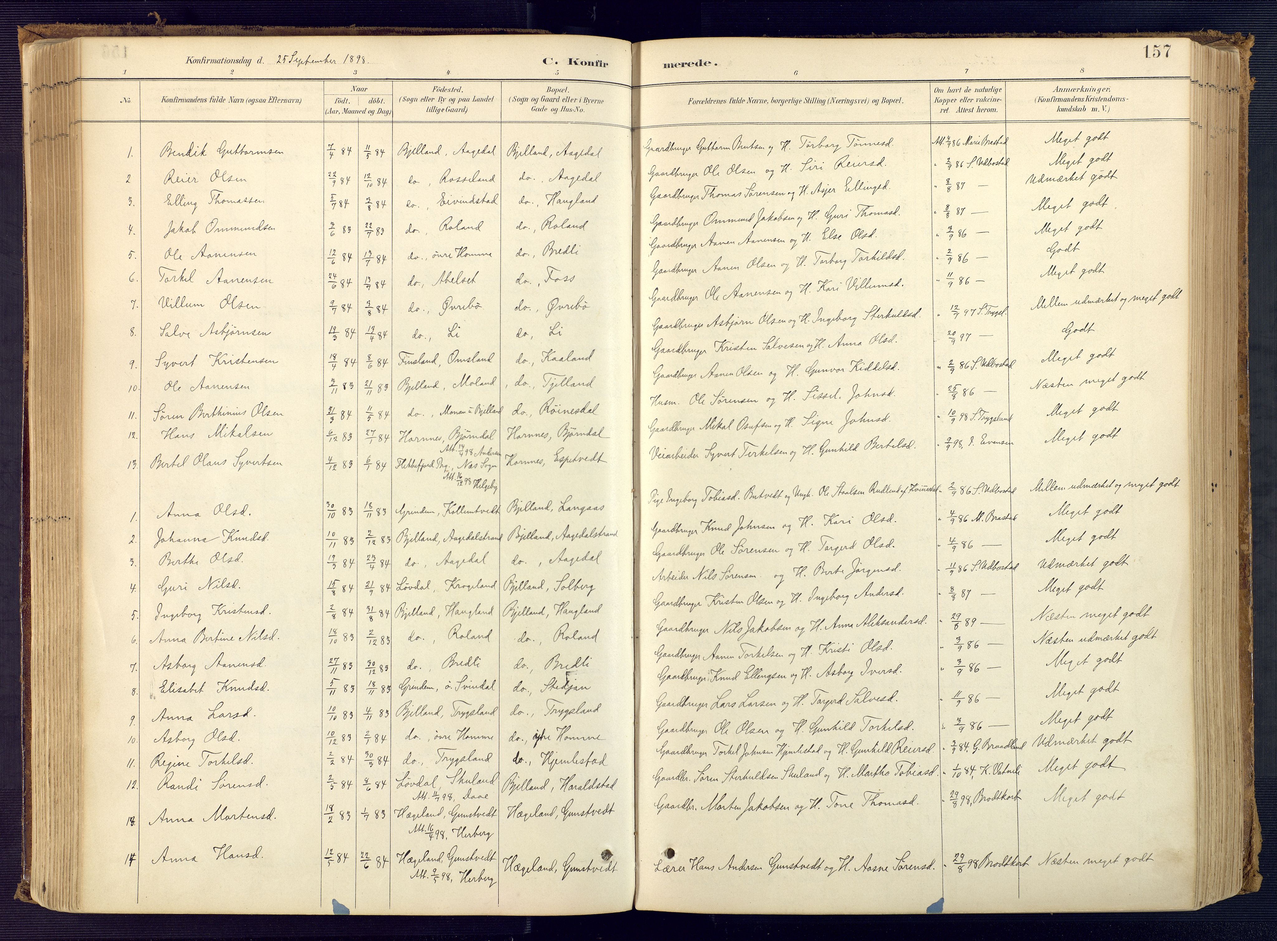 Bjelland sokneprestkontor, SAK/1111-0005/F/Fa/Faa/L0004: Parish register (official) no. A 4, 1887-1923, p. 157