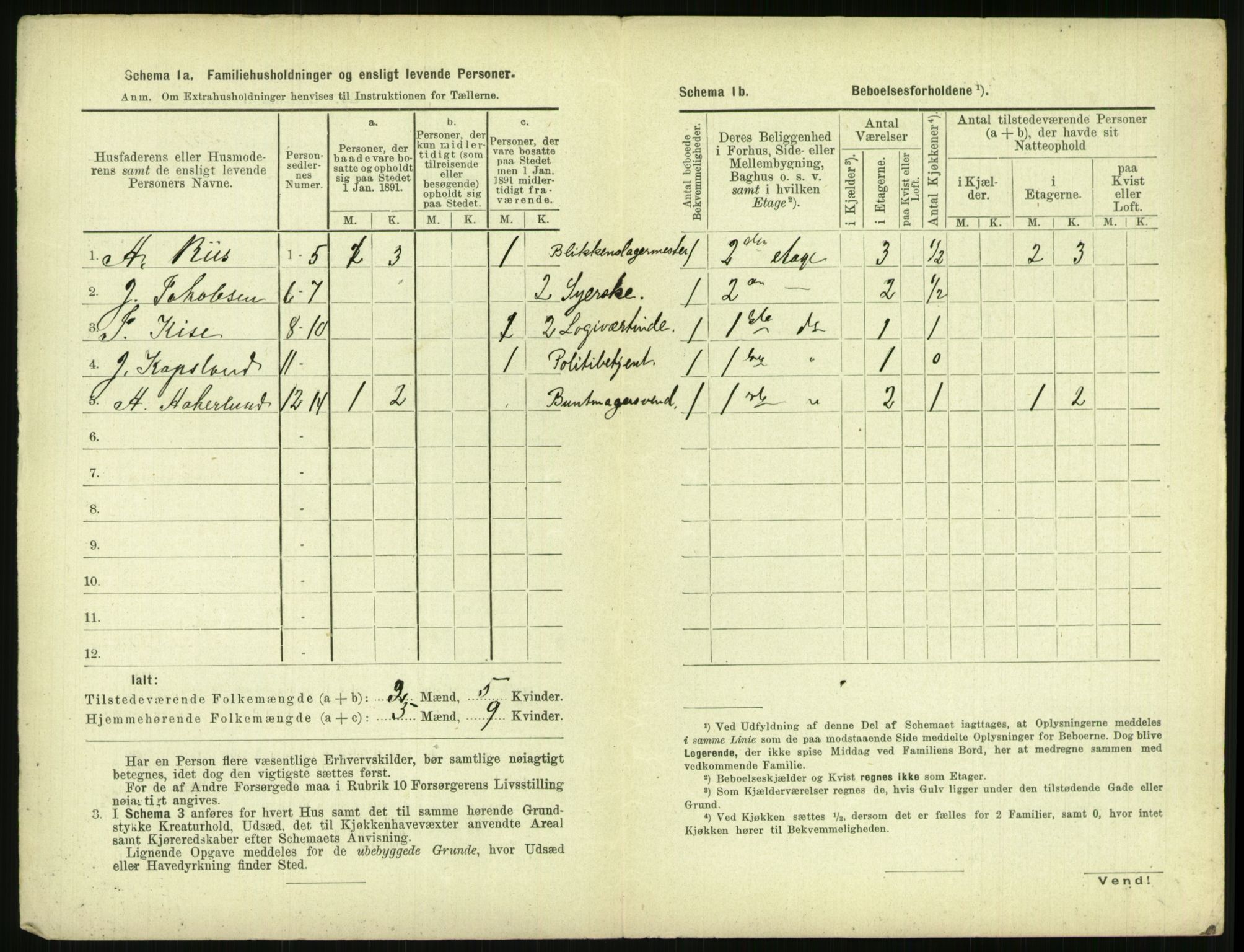 RA, 1891 census for 0806 Skien, 1891, p. 1065