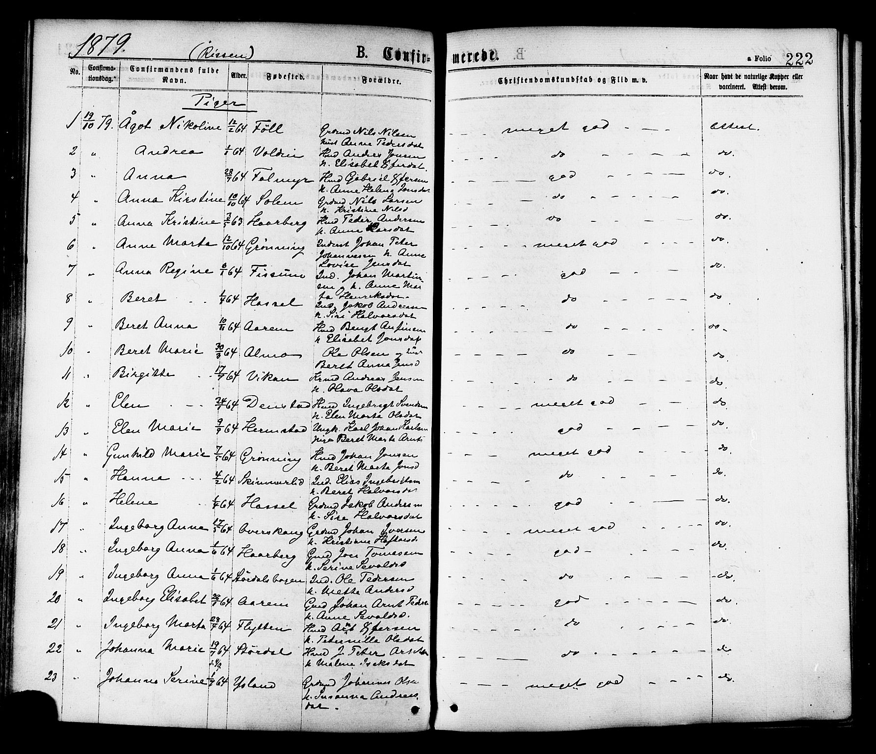 Ministerialprotokoller, klokkerbøker og fødselsregistre - Sør-Trøndelag, AV/SAT-A-1456/646/L0613: Parish register (official) no. 646A11, 1870-1884, p. 222