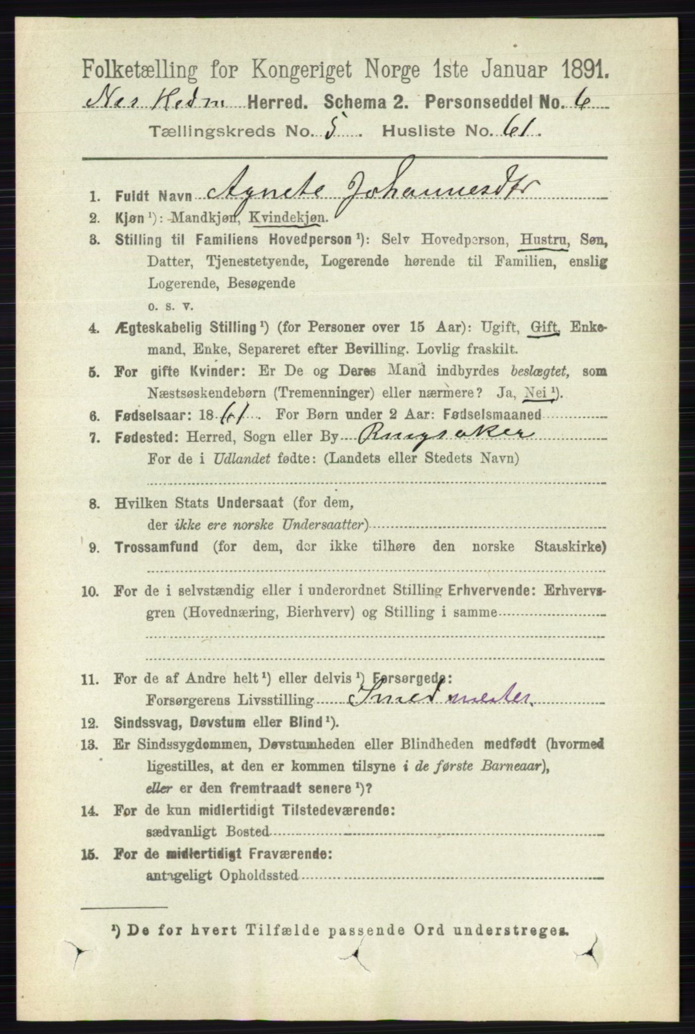 RA, 1891 census for 0411 Nes, 1891, p. 3003