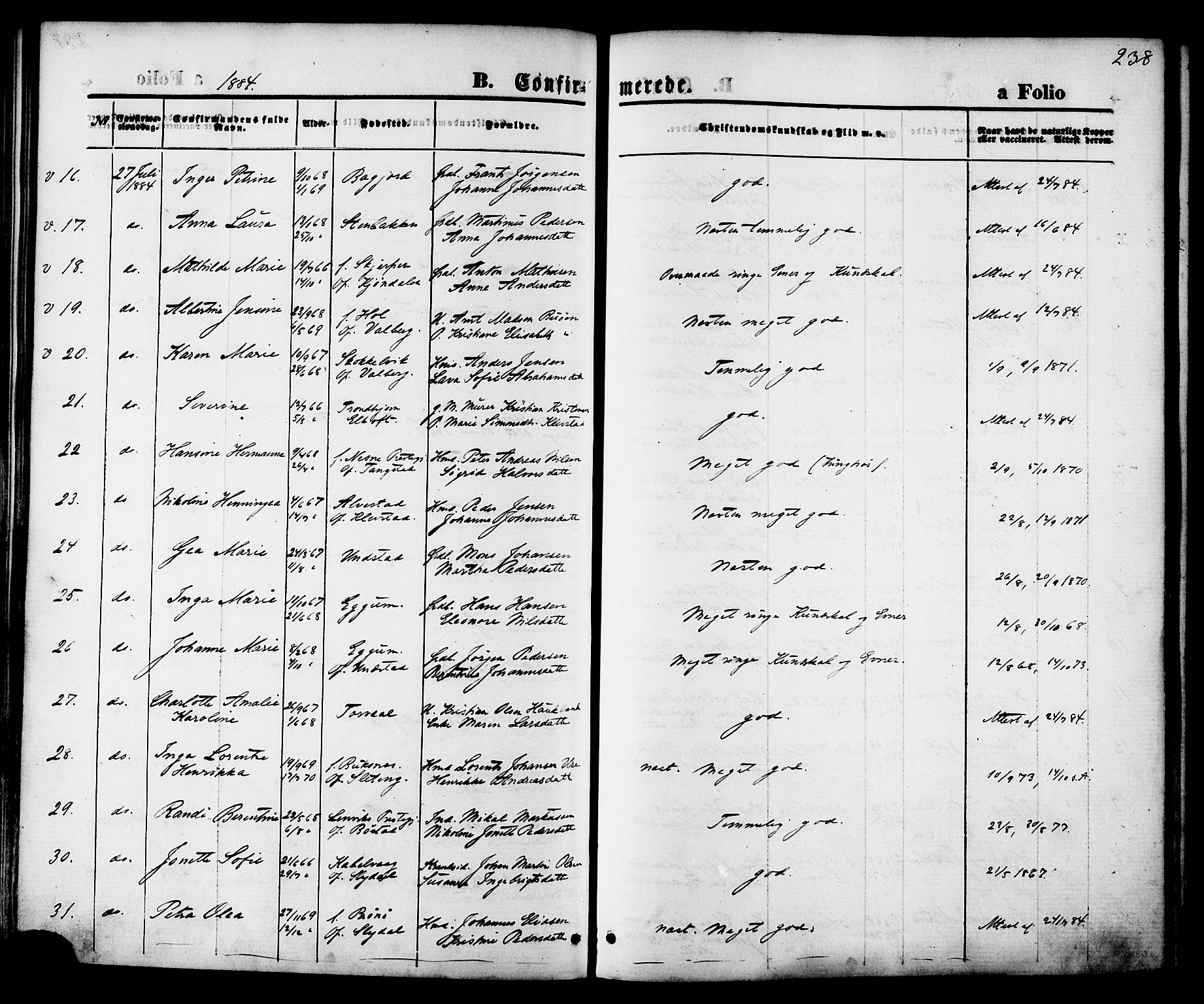 Ministerialprotokoller, klokkerbøker og fødselsregistre - Nordland, SAT/A-1459/880/L1132: Parish register (official) no. 880A06, 1869-1887, p. 238