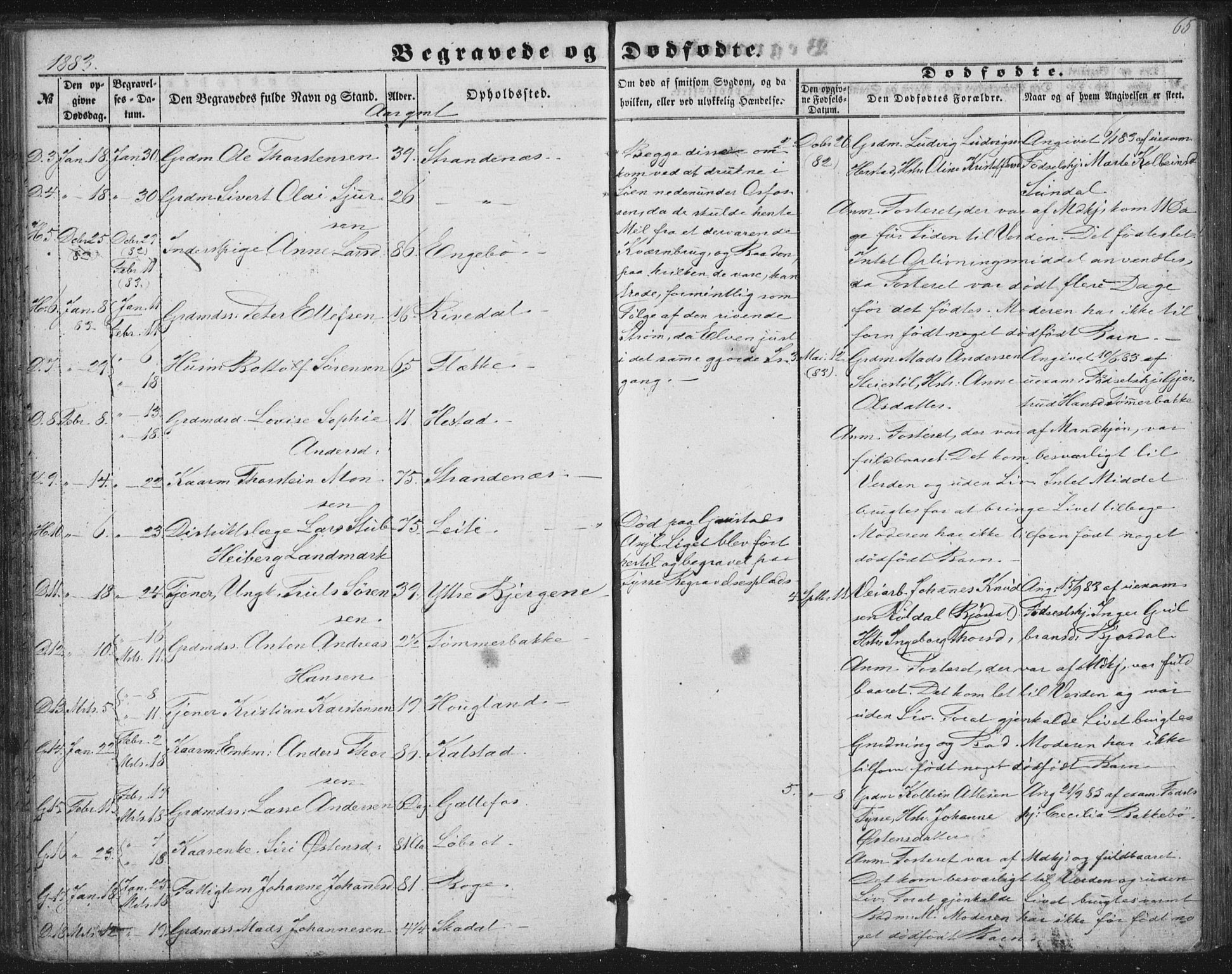 Fjaler sokneprestembete, AV/SAB-A-79801/H/Haa/Haaa/L0012: Parish register (official) no. A 12, 1854-1887, p. 65