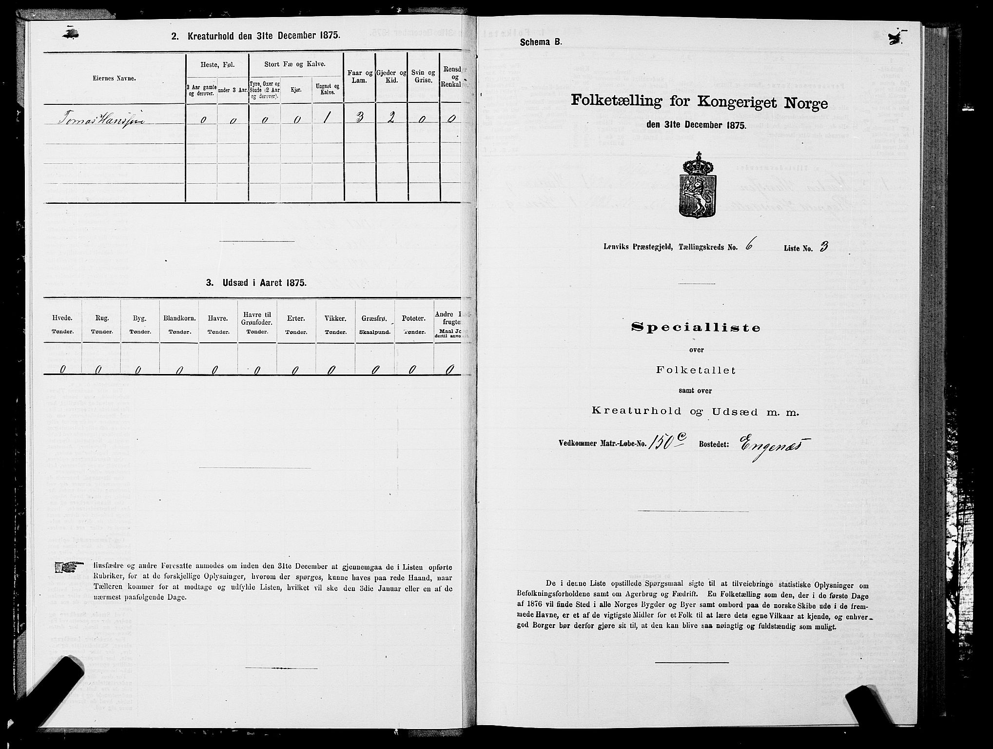 SATØ, 1875 census for 1931P Lenvik, 1875, p. 4005