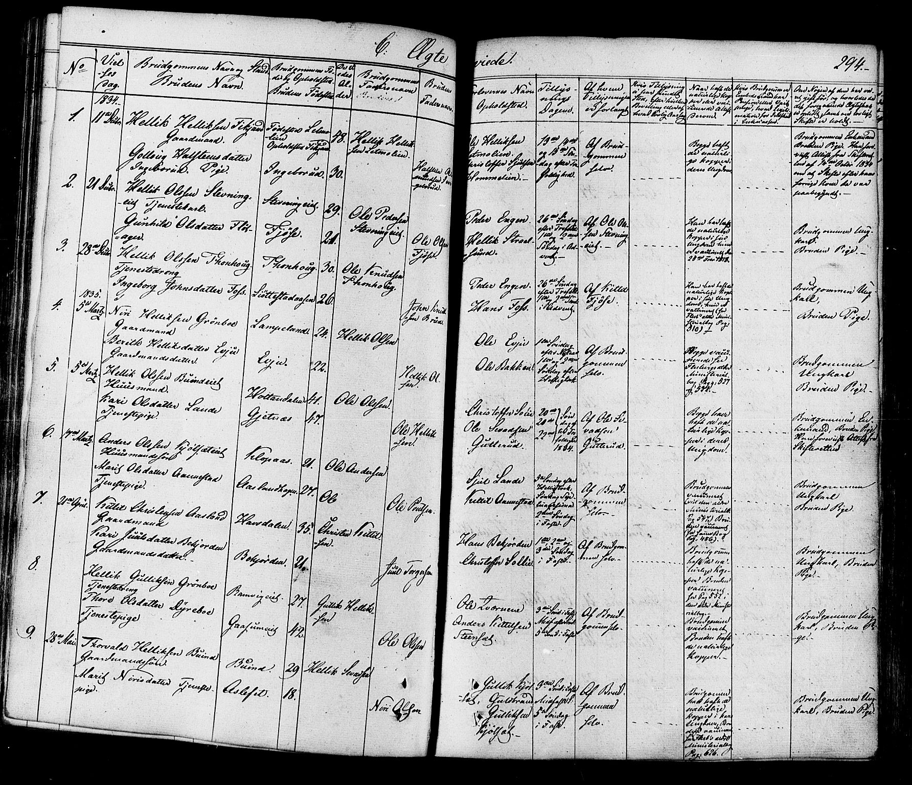 Flesberg kirkebøker, AV/SAKO-A-18/F/Fa/L0006: Parish register (official) no. I 6, 1834-1860, p. 294