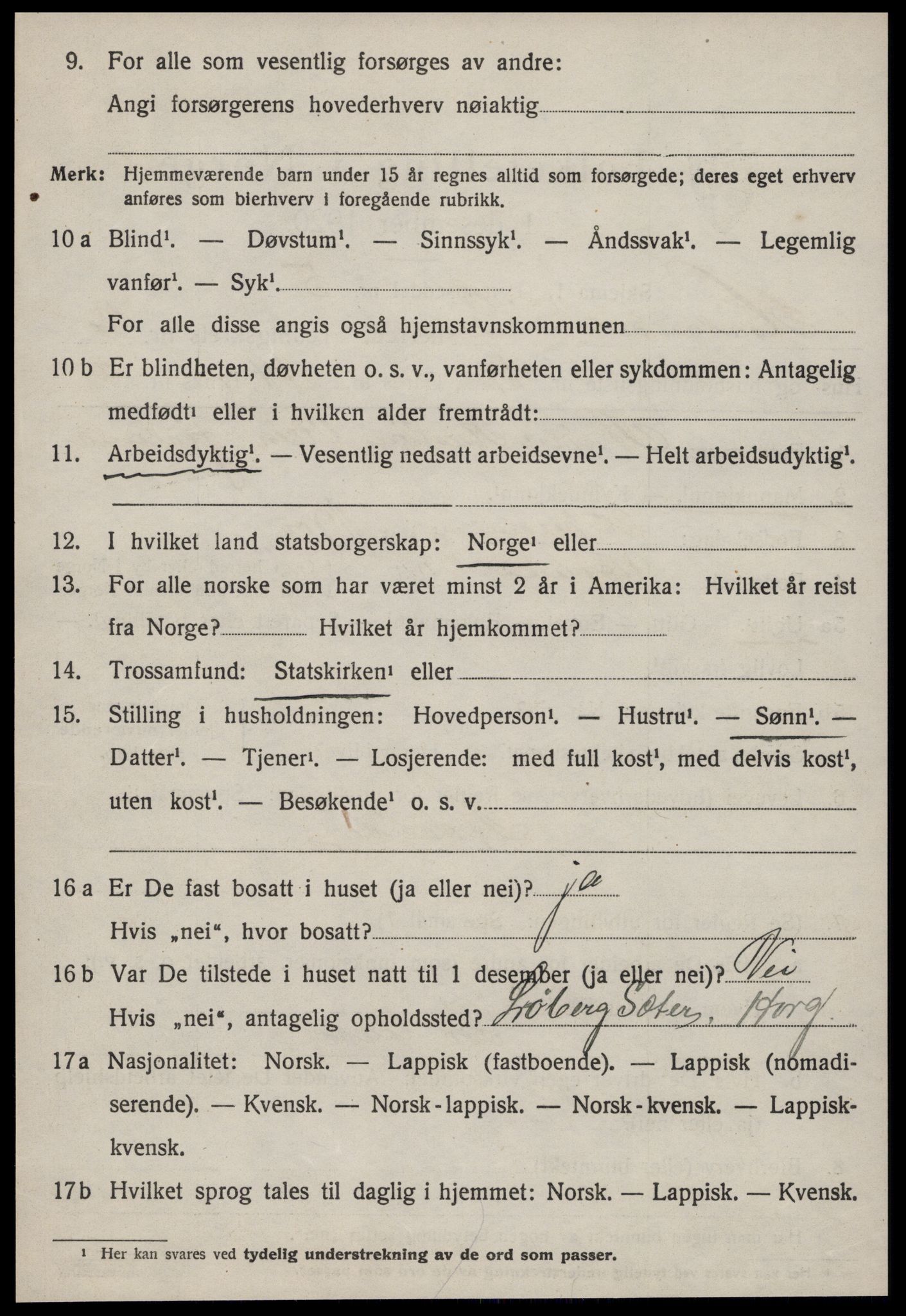 SAT, 1920 census for Hølonda, 1920, p. 1358