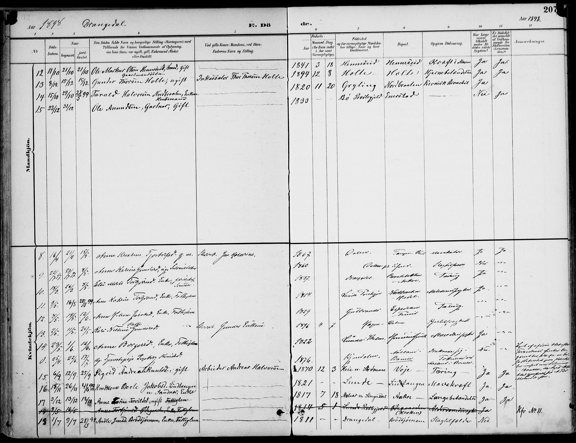 Drangedal kirkebøker, AV/SAKO-A-258/F/Fa/L0012: Parish register (official) no. 12, 1895-1905, p. 207