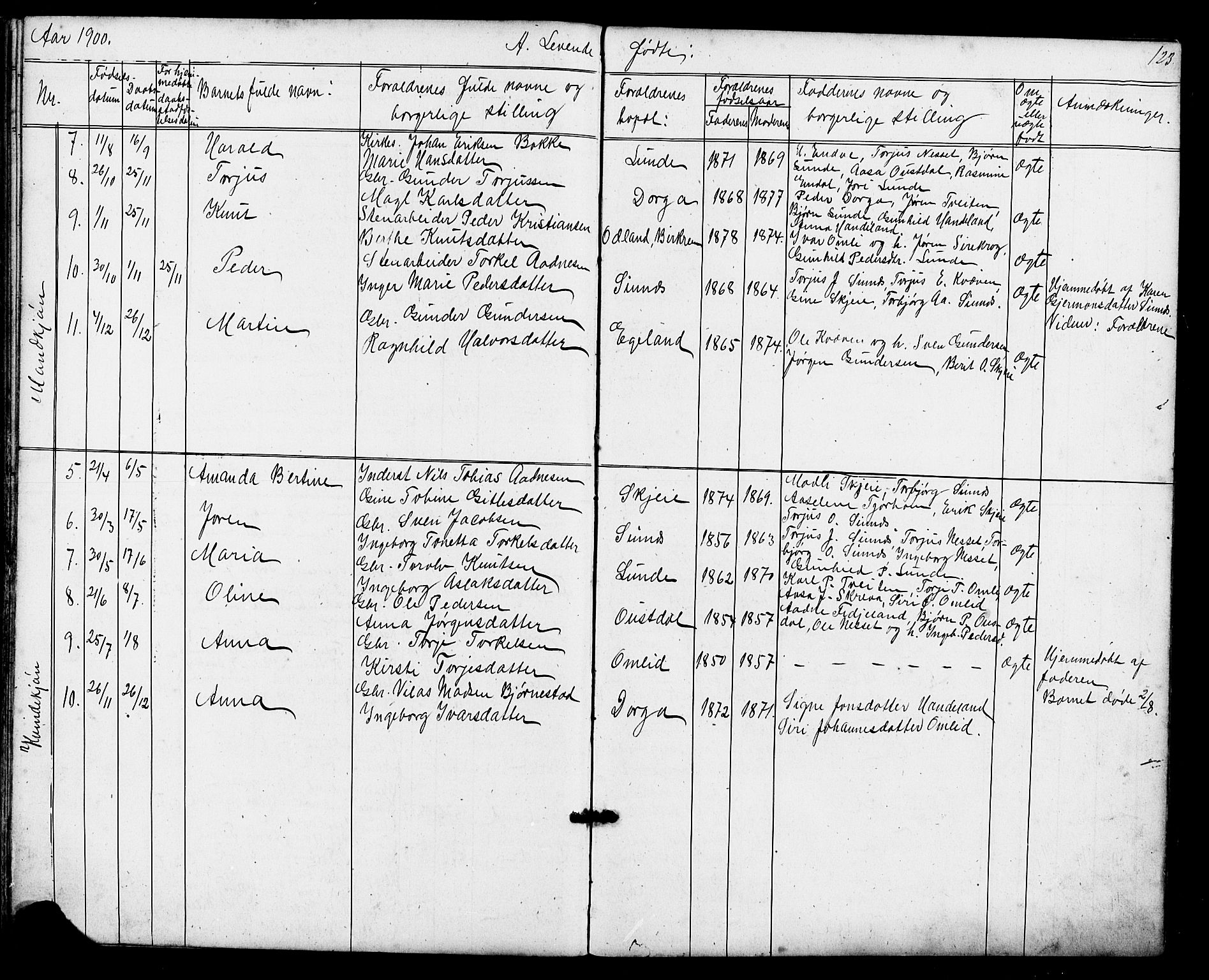 Sirdal sokneprestkontor, AV/SAK-1111-0036/F/Fb/Fba/L0001: Parish register (copy) no. B 1, 1872-1905, p. 123