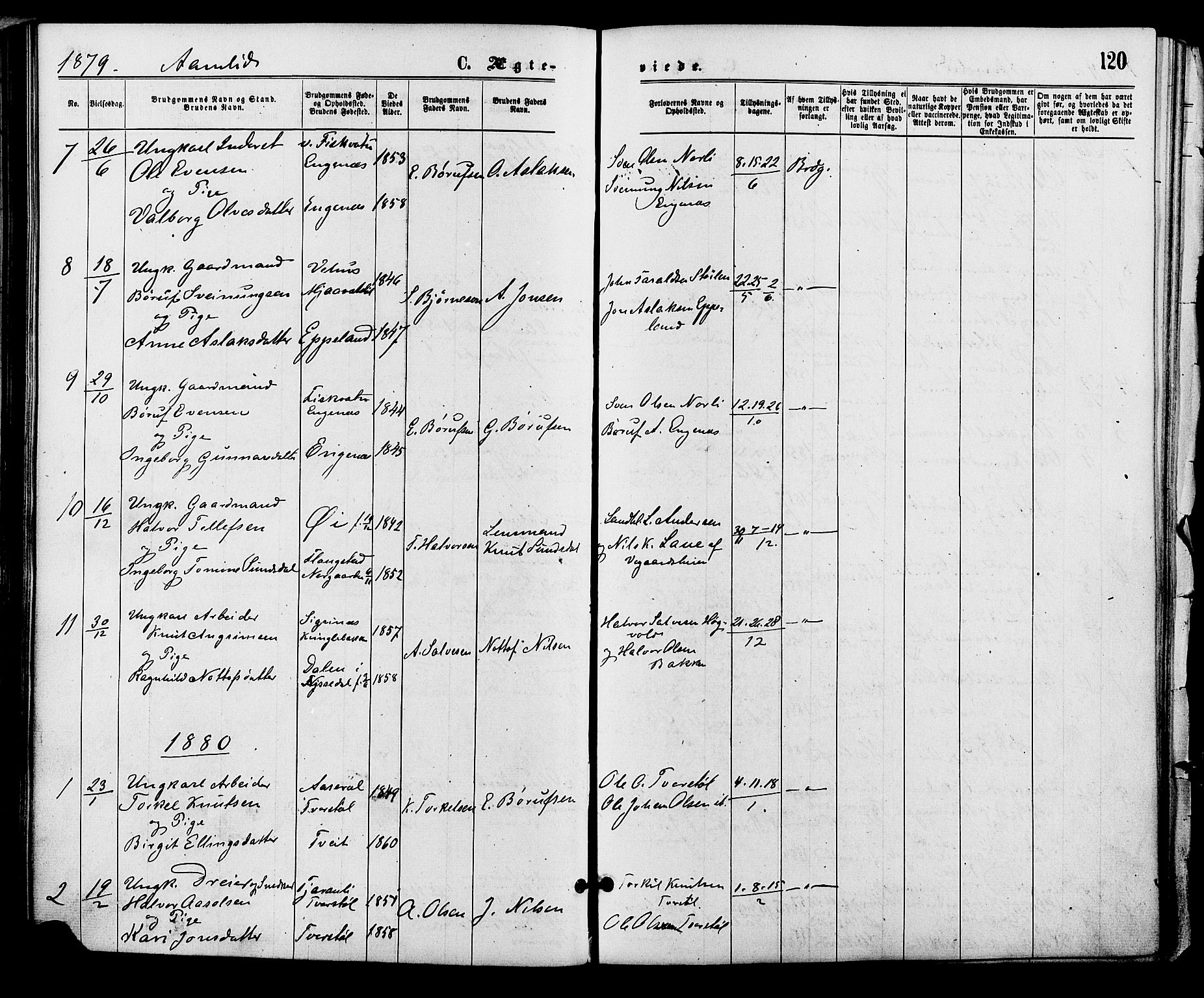 Åmli sokneprestkontor, AV/SAK-1111-0050/F/Fa/Fac/L0009: Parish register (official) no. A 9 /1, 1869-1884, p. 120