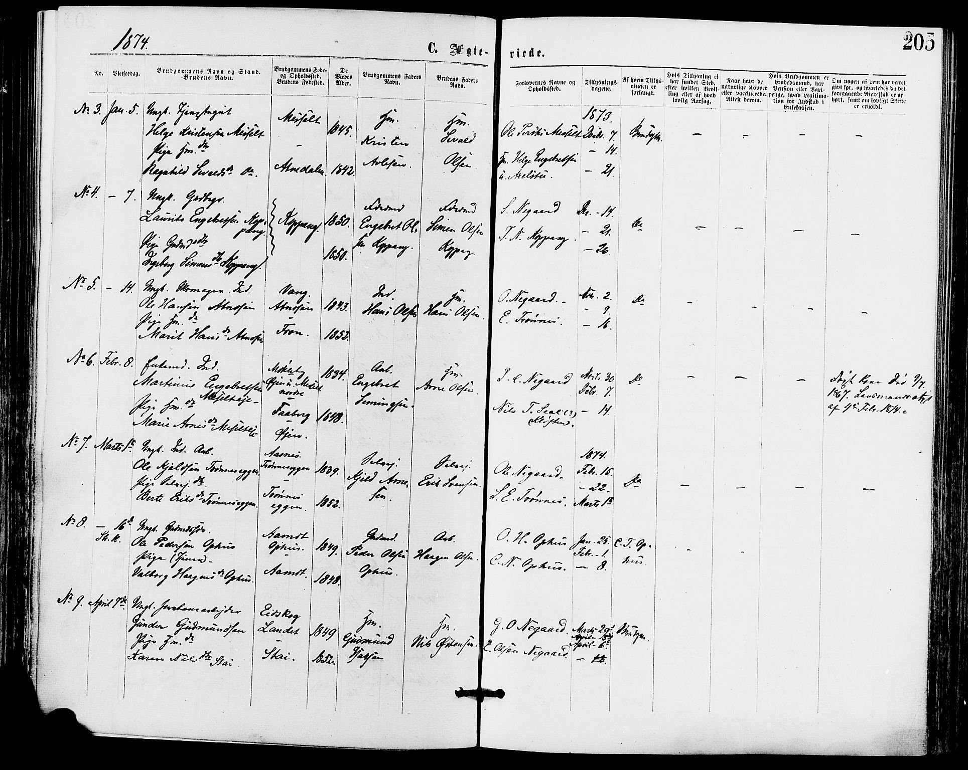 Stor-Elvdal prestekontor, AV/SAH-PREST-052/H/Ha/Haa/L0001: Parish register (official) no. 1, 1871-1882, p. 205