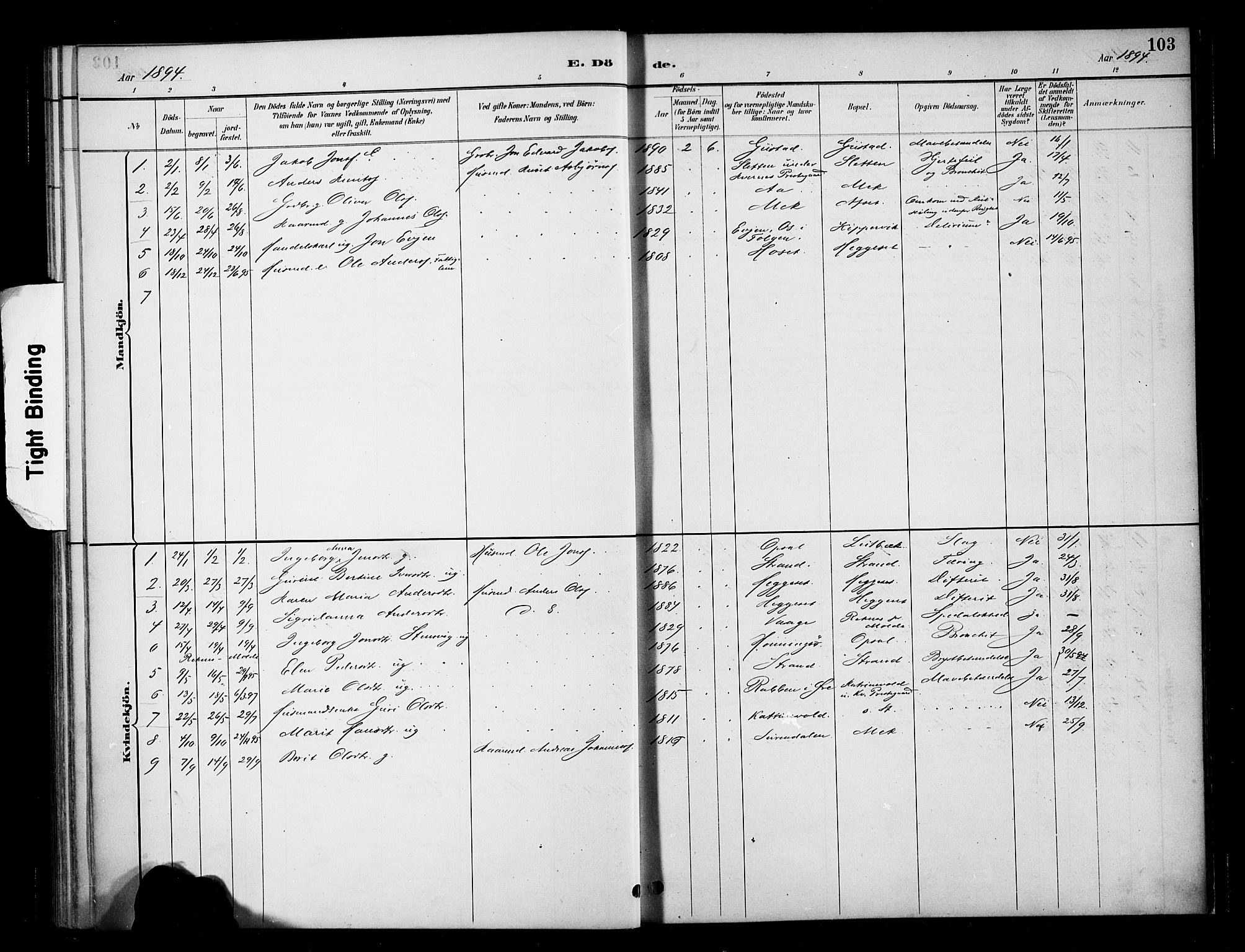 Ministerialprotokoller, klokkerbøker og fødselsregistre - Møre og Romsdal, SAT/A-1454/568/L0809: Parish register (official) no. 568A13, 1884-1900, p. 103