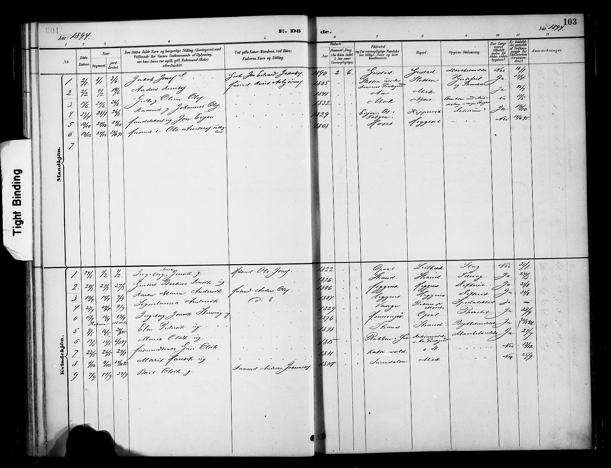 Ministerialprotokoller, klokkerbøker og fødselsregistre - Møre og Romsdal, AV/SAT-A-1454/568/L0809: Parish register (official) no. 568A13, 1884-1900, p. 103