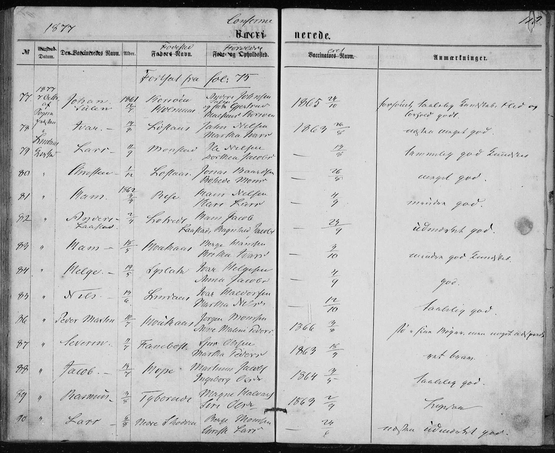 Lindås Sokneprestembete, AV/SAB-A-76701/H/Haa/Haaa/L0017: Parish register (official) no. A 17, 1874-1877, p. 110