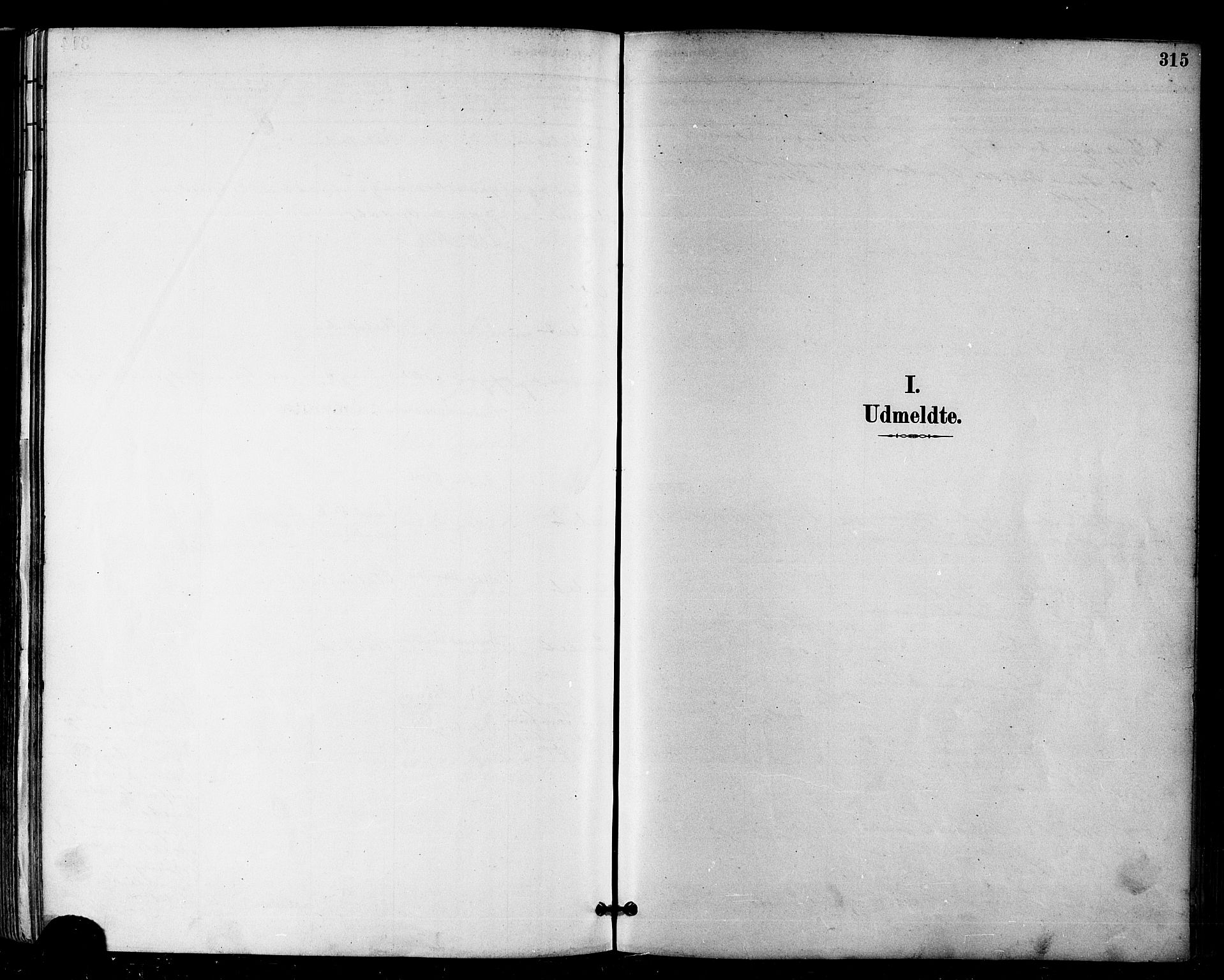 Vardø sokneprestkontor, SATØ/S-1332/H/Ha/L0007kirke: Parish register (official) no. 7, 1886-1897, p. 315