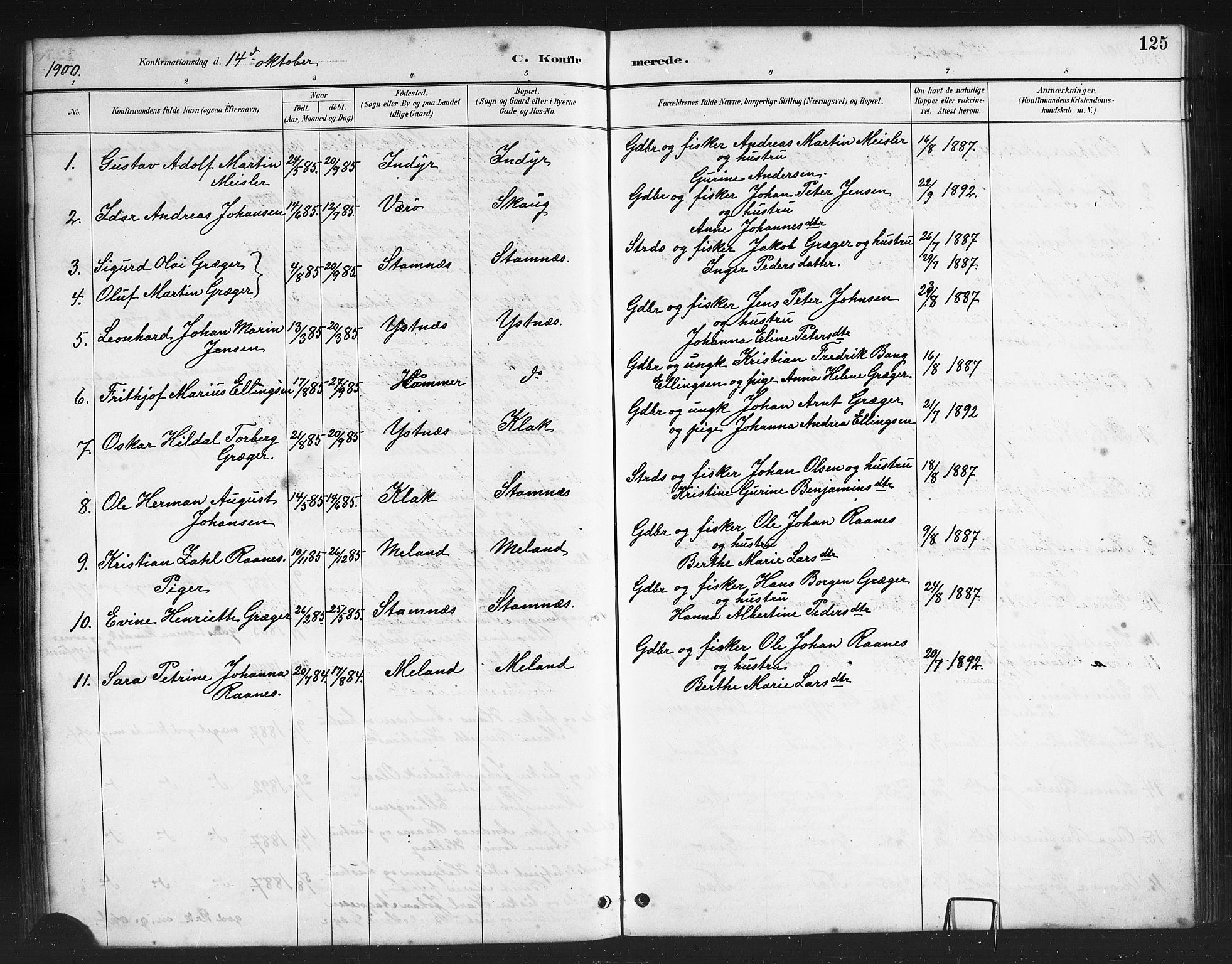 Ministerialprotokoller, klokkerbøker og fødselsregistre - Nordland, AV/SAT-A-1459/808/L0131: Parish register (copy) no. 808C02, 1879-1919, p. 125